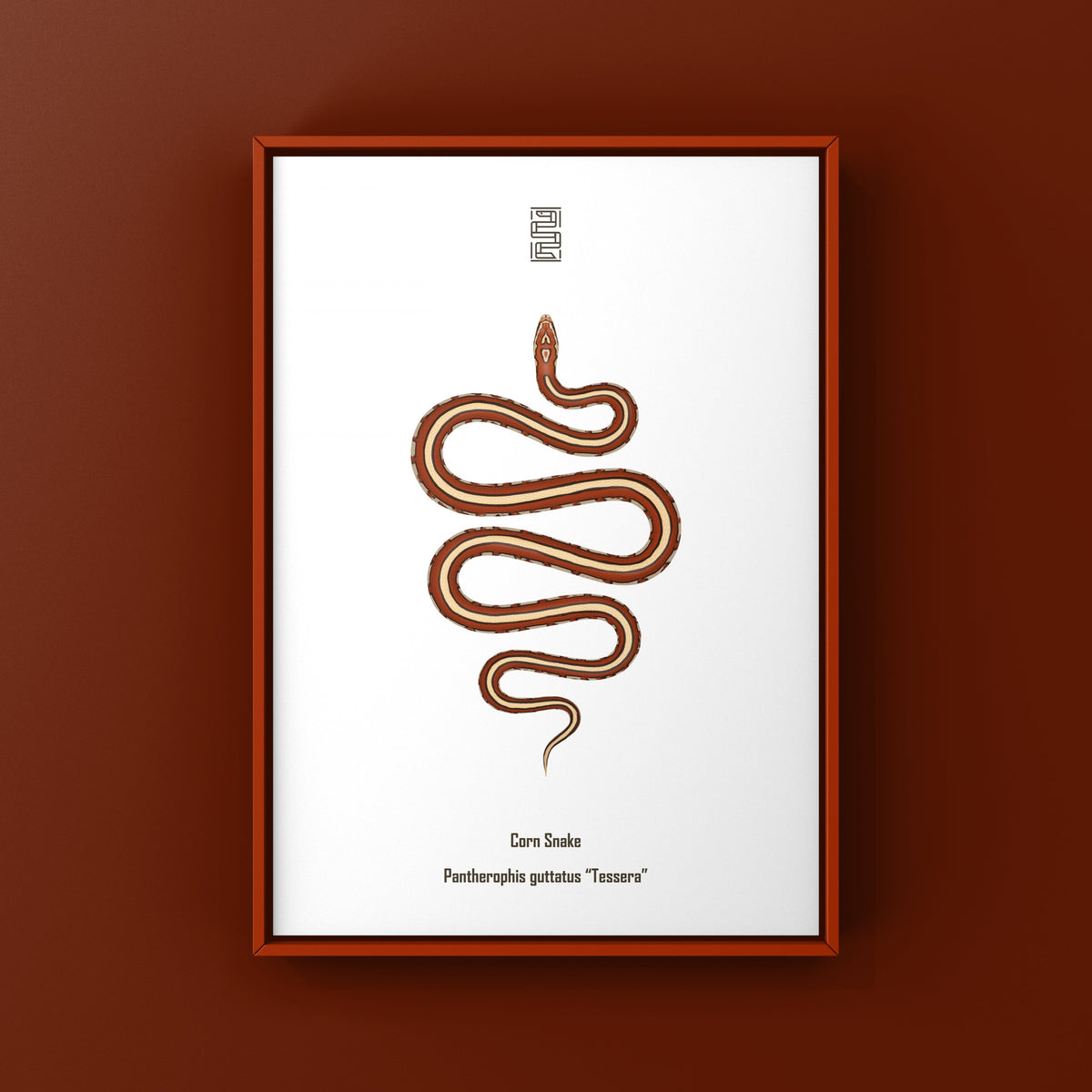 Tessera Corn Snake Art Print (Pantherophis guttatus)