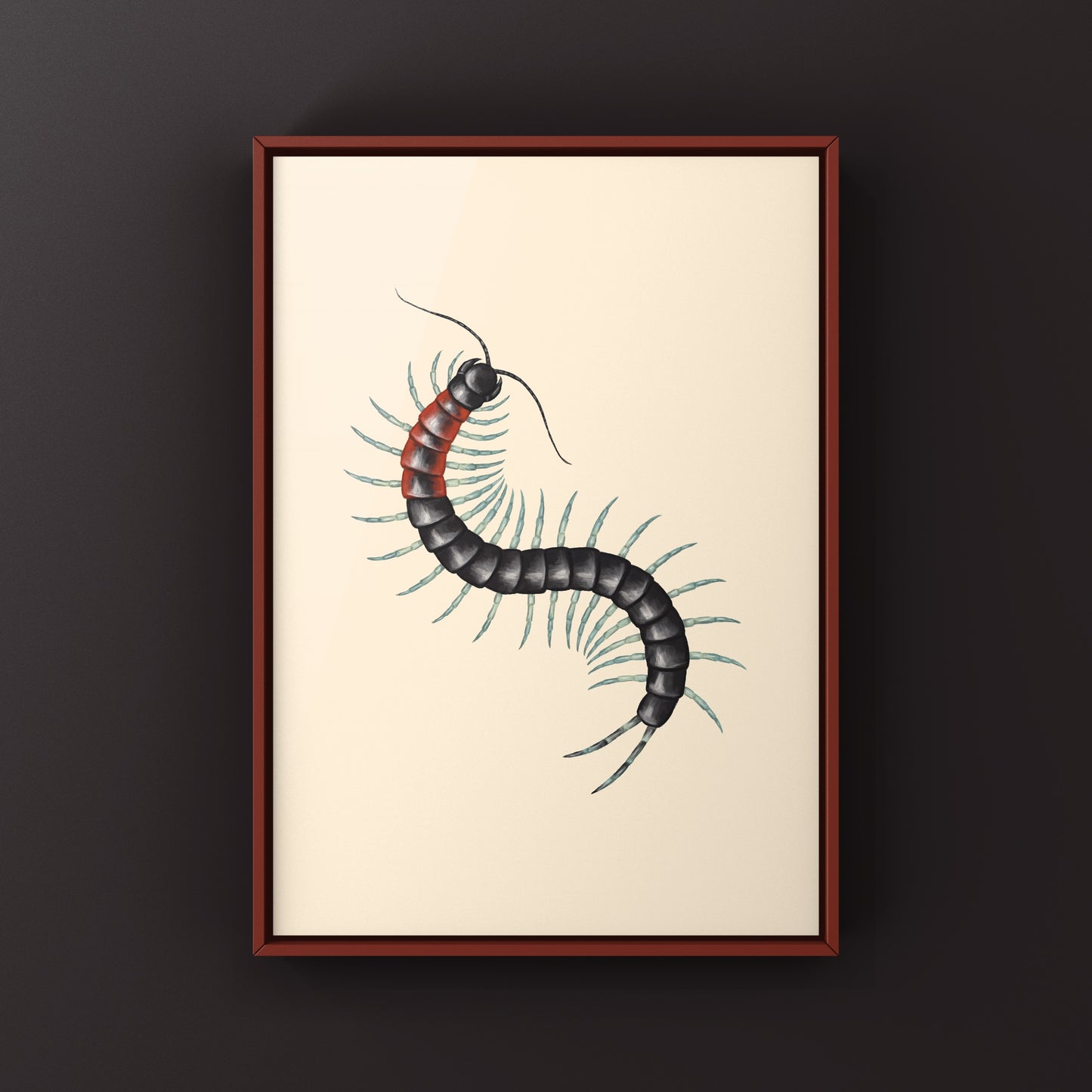 Colorful striped centipede art print featuring a Scolopendra laeta on textured paper, created by The Silk Ranch.