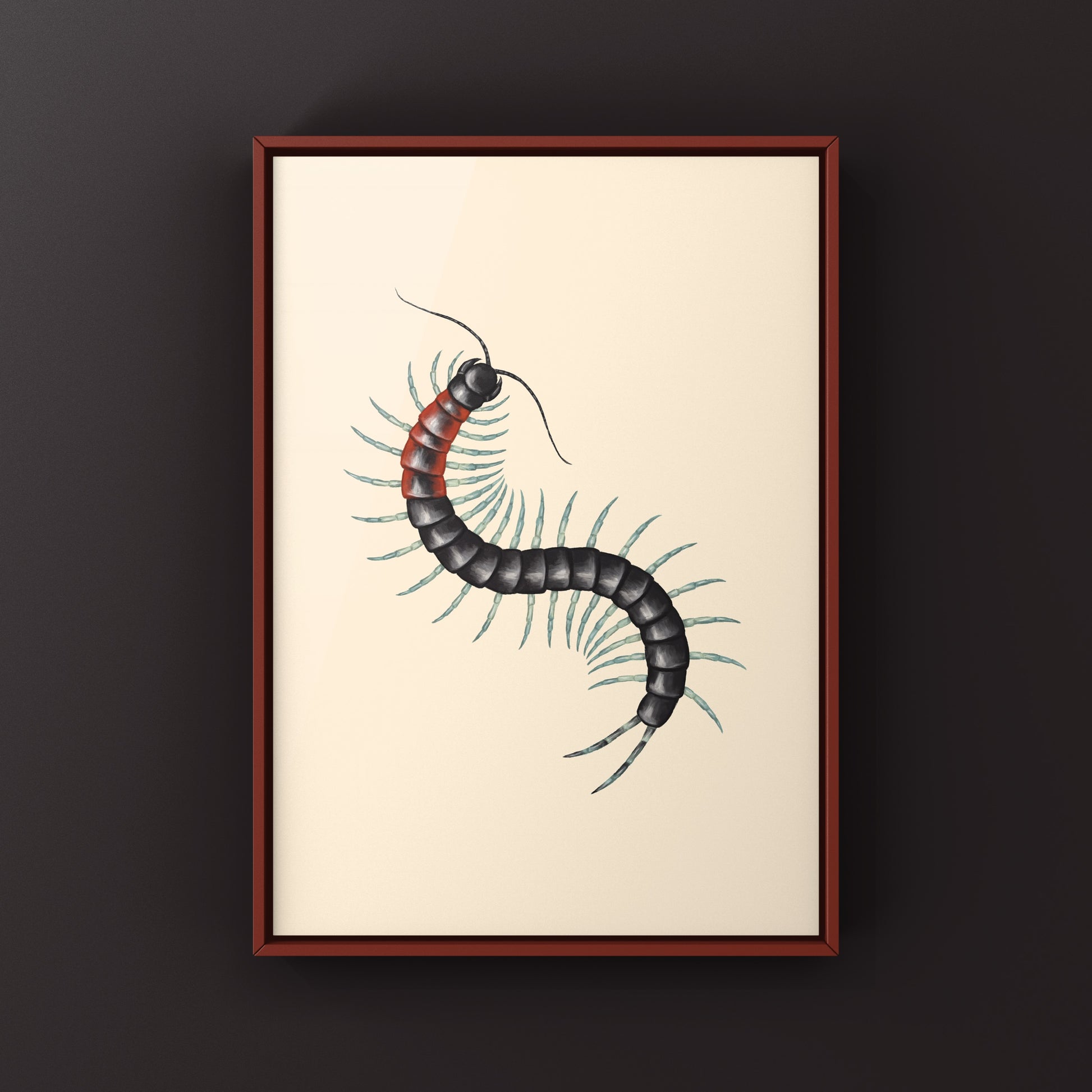 Colorful striped centipede art print featuring a Scolopendra laeta on textured paper, created by The Silk Ranch.