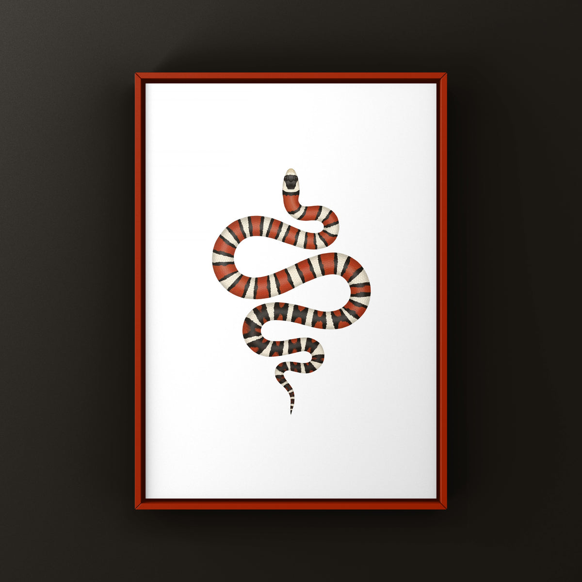 Arizona Mountain Kingsnake Art Print (Lampropeltis pyromelana)