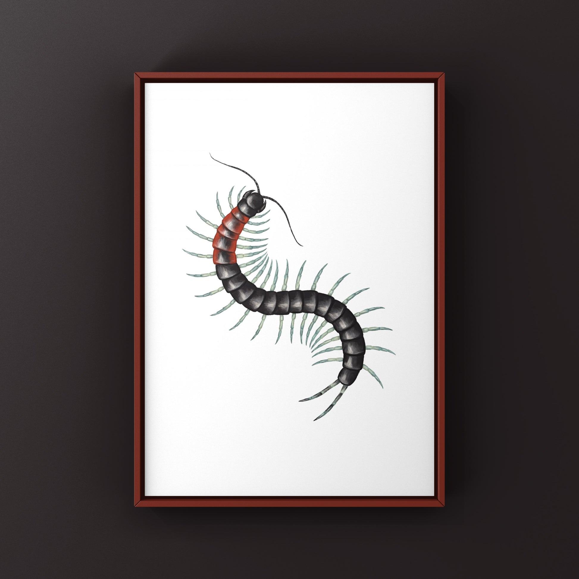 Colorful striped centipede art print featuring a Scolopendra laeta, showcasing detailed, vibrant insect illustration by The Silk Ranch.