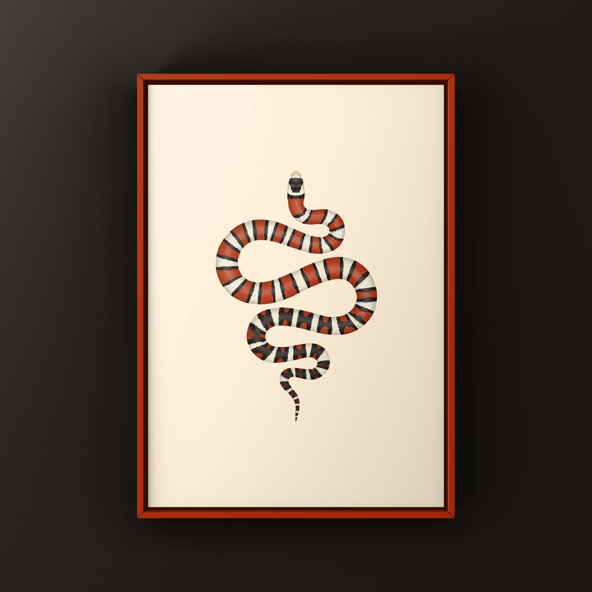 Arizona Mountain Kingsnake Art Print (Lampropeltis pyromelana)