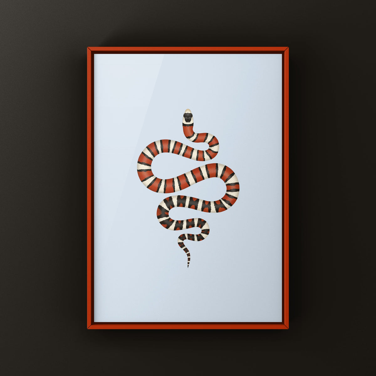Arizona Mountain Kingsnake Art Print (Lampropeltis pyromelana)