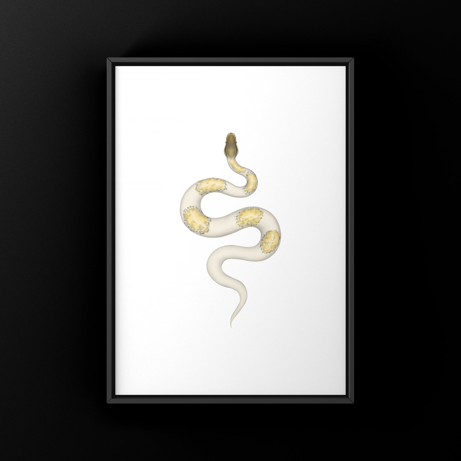 Colorful art print of a Super Pastel Mojave Pied Ball Python (Python regius) showcasing vibrant patterns and realistic details.