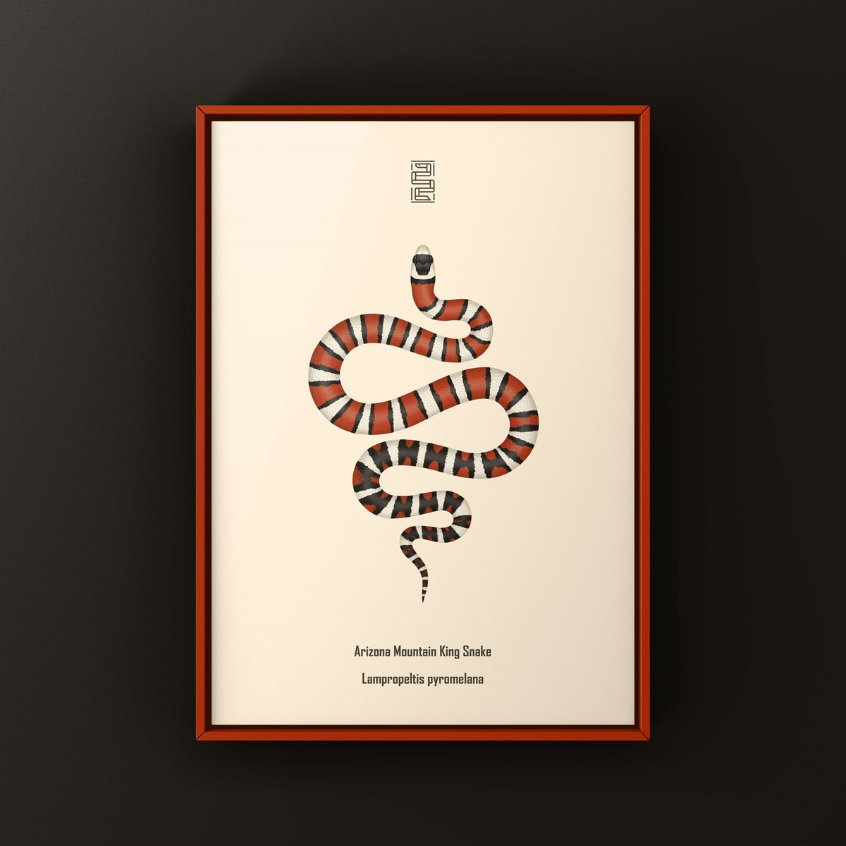 Arizona Mountain Kingsnake Art Print (Lampropeltis pyromelana)