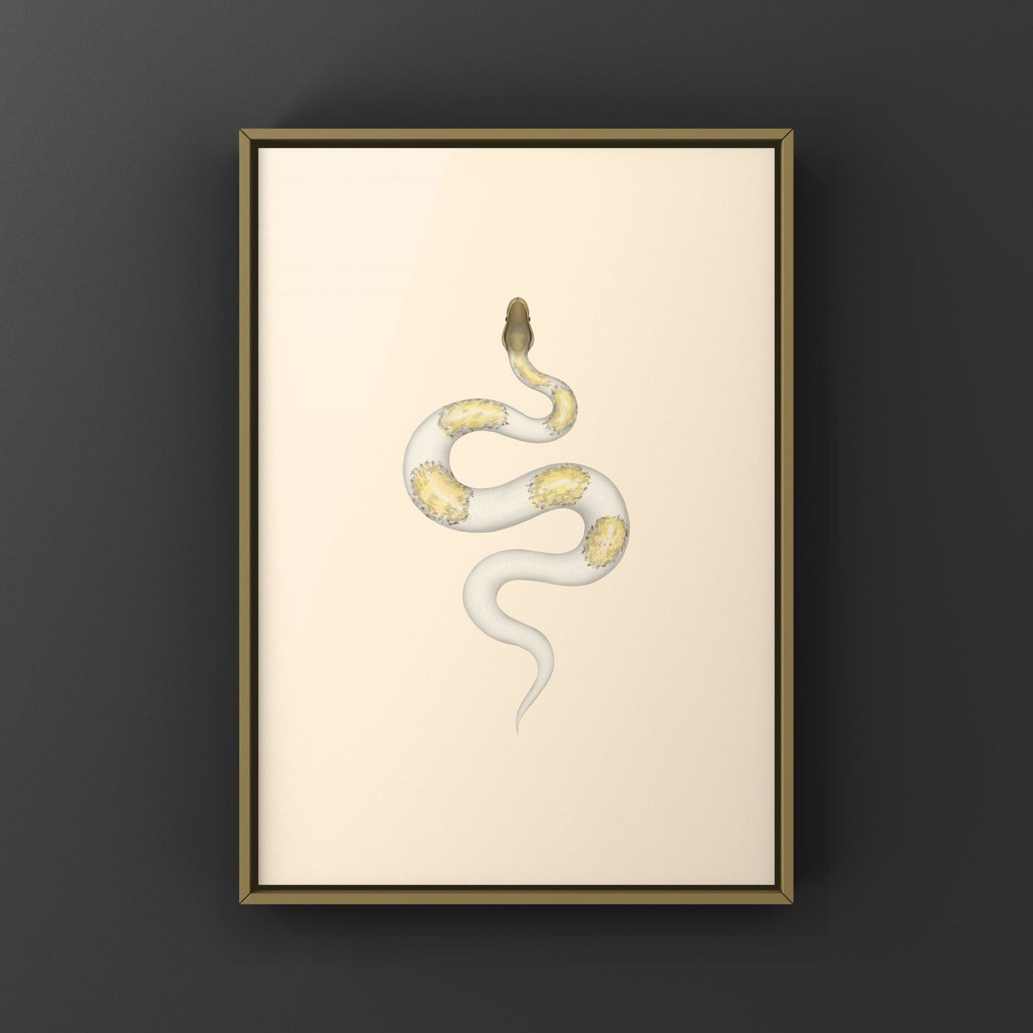 Super Pastel Mojave Pied Ball Python art print by The Silk Ranch depicting a vibrant Mojave Pied Ball Python snake.
