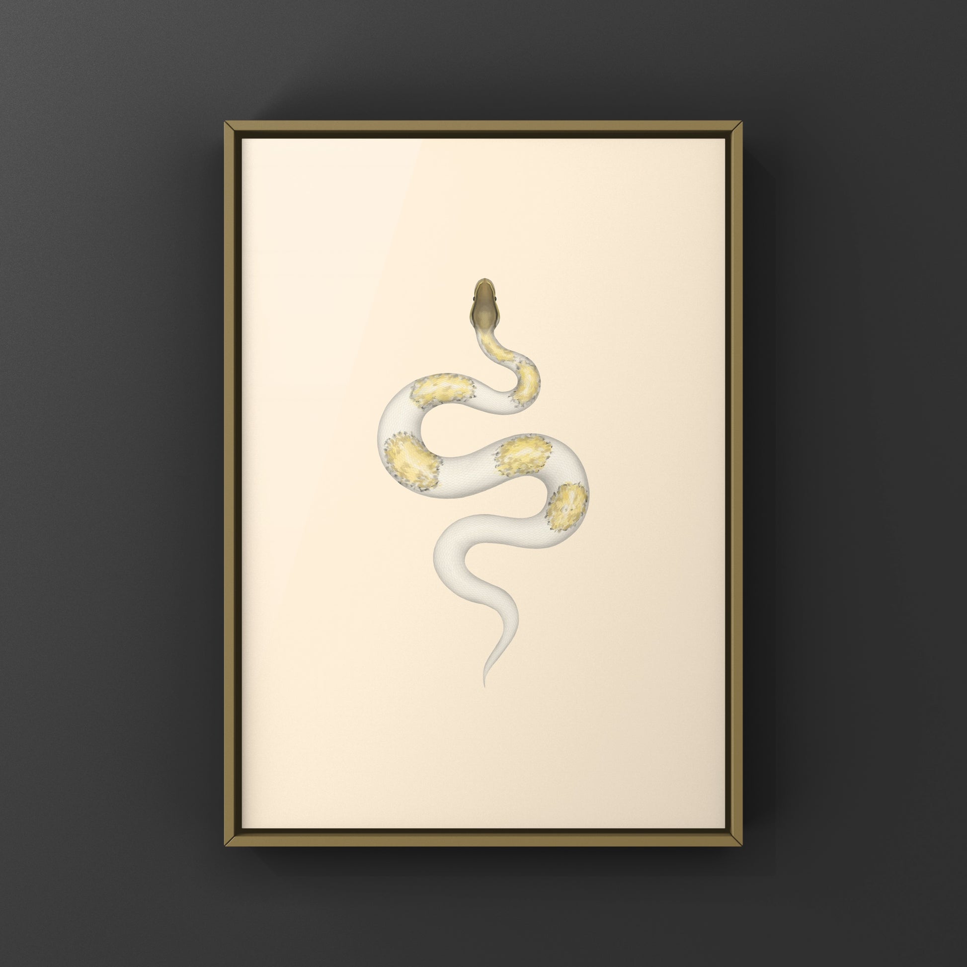 Super Pastel Mojave Pied Ball Python art print by The Silk Ranch depicting a vibrant Mojave Pied Ball Python snake.