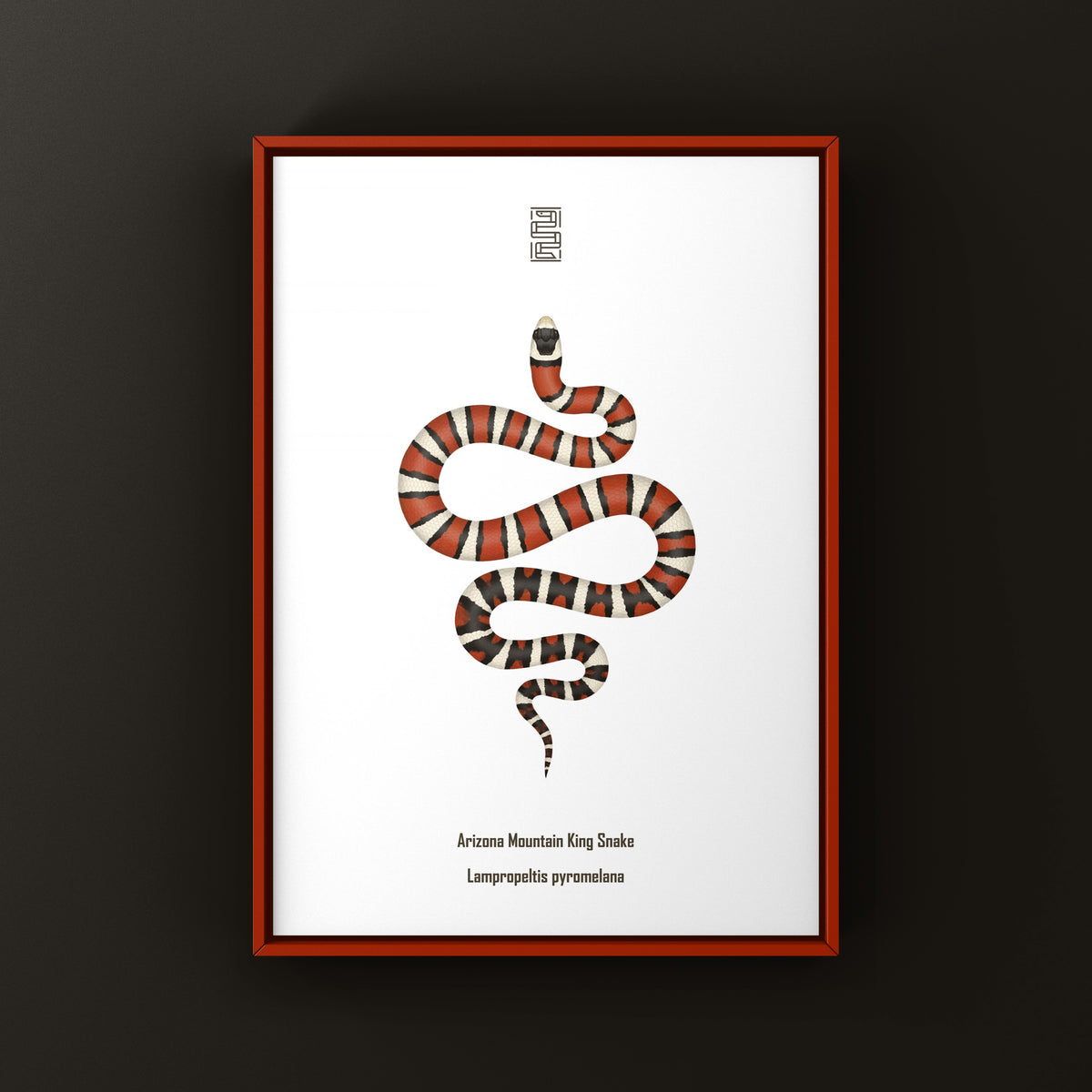 Arizona Mountain Kingsnake Art Print (Lampropeltis pyromelana)