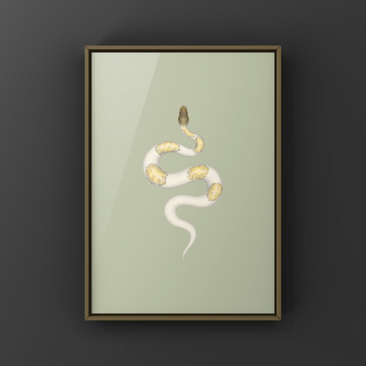 Super Pastel Mojave Pied Ball Python art print by The Silk Ranch showing a vibrant, detailed illustration of the snake's distinctive markings.