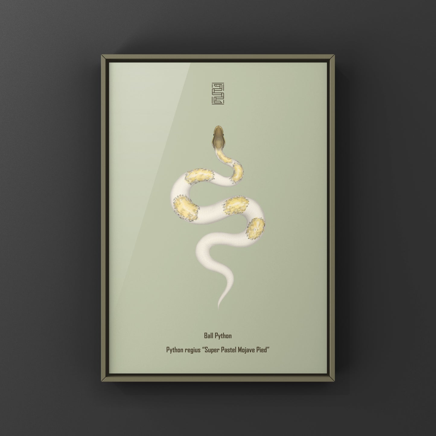 Super Pastel Mojave Pied Ball Python art print by The Silk Ranch, showcasing vibrant pastel and pied python patterns.