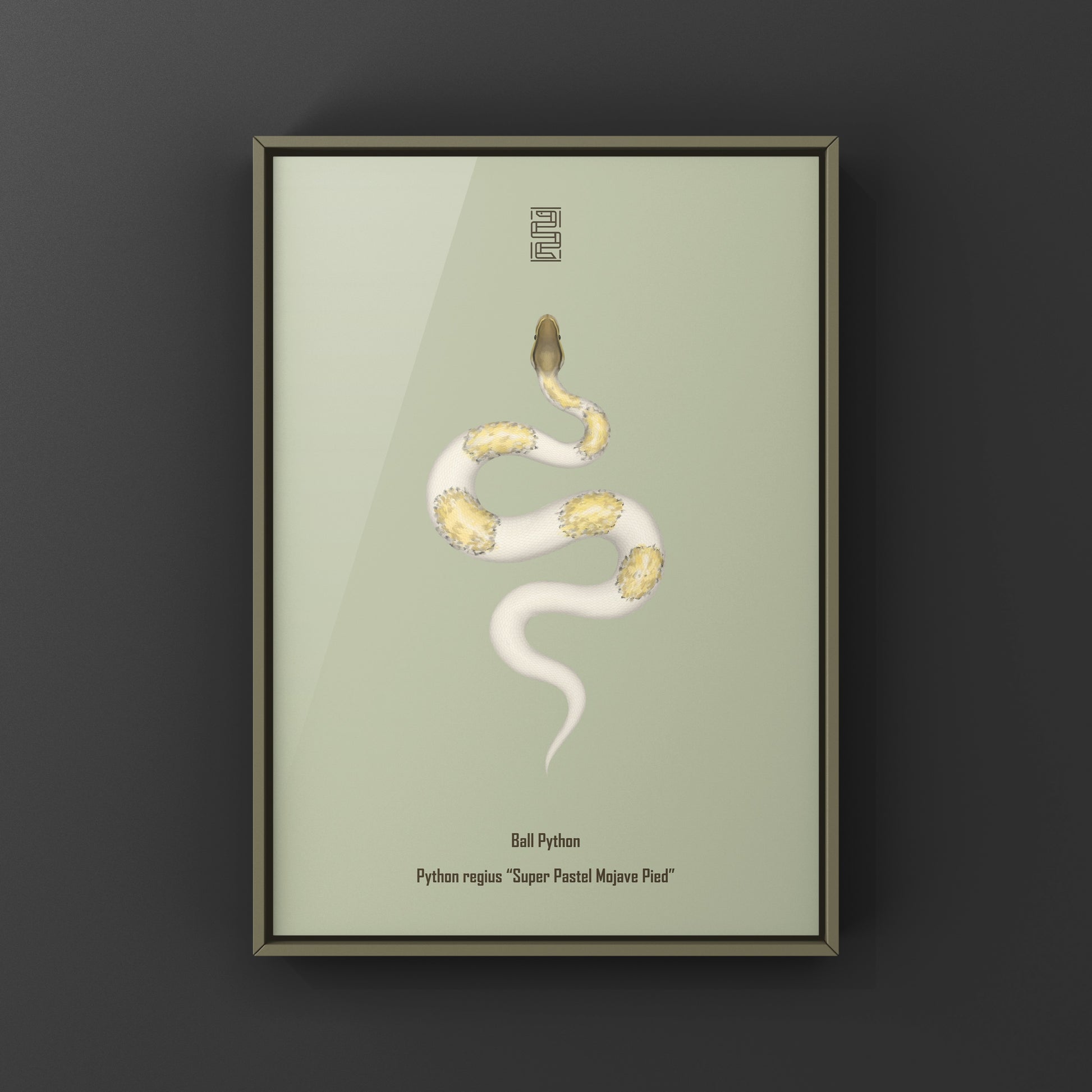 Super Pastel Mojave Pied Ball Python art print by The Silk Ranch, showcasing vibrant pastel and pied python patterns.
