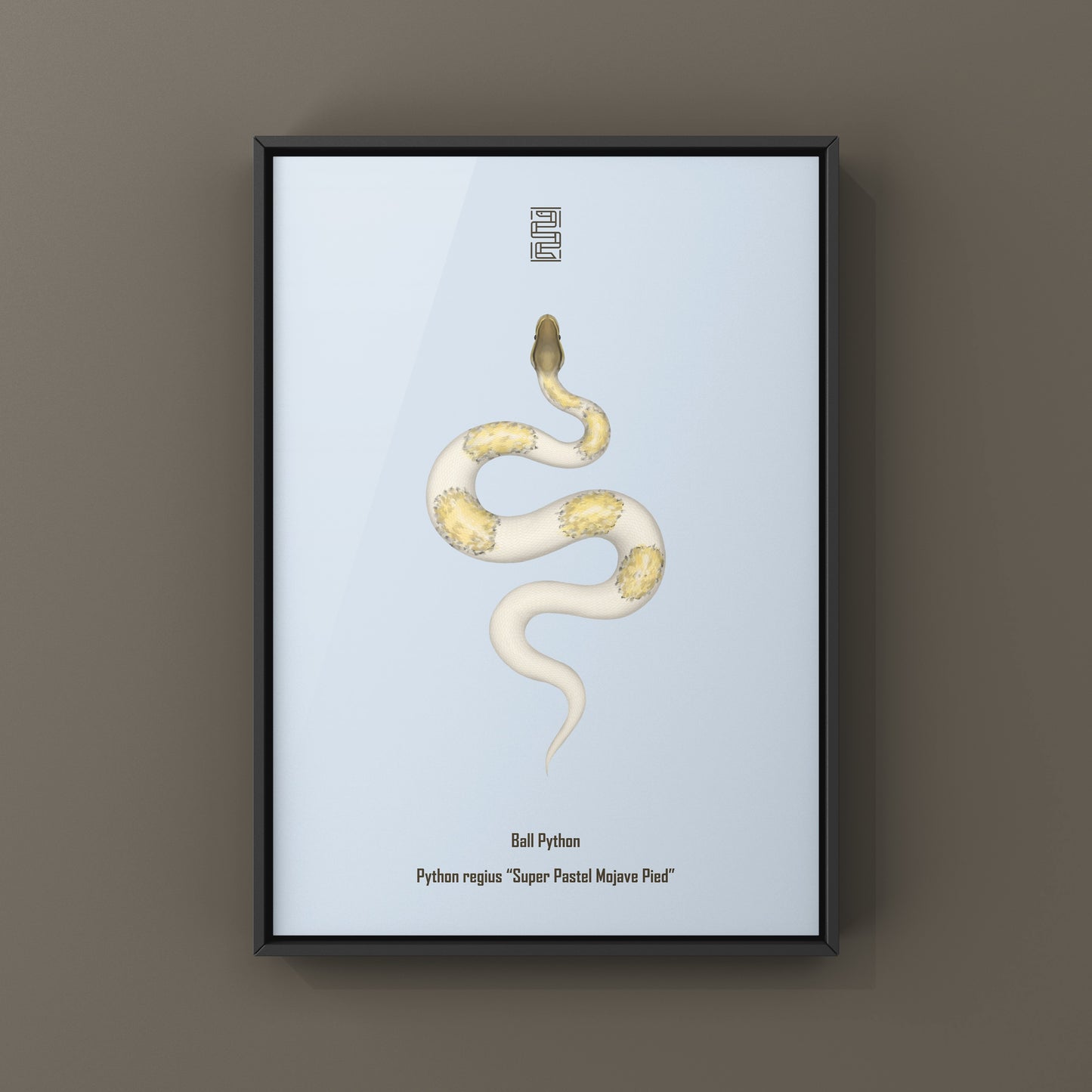 Art print of a Super Pastel Mojave Pied Ball Python (Python regius) by The Silk Ranch, showcasing detailed snake illustrations.