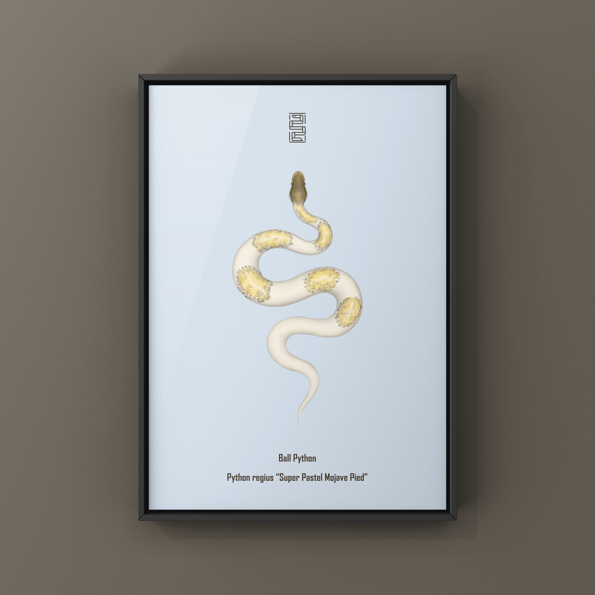 Art print of a Super Pastel Mojave Pied Ball Python (Python regius) by The Silk Ranch, showcasing detailed snake illustrations.