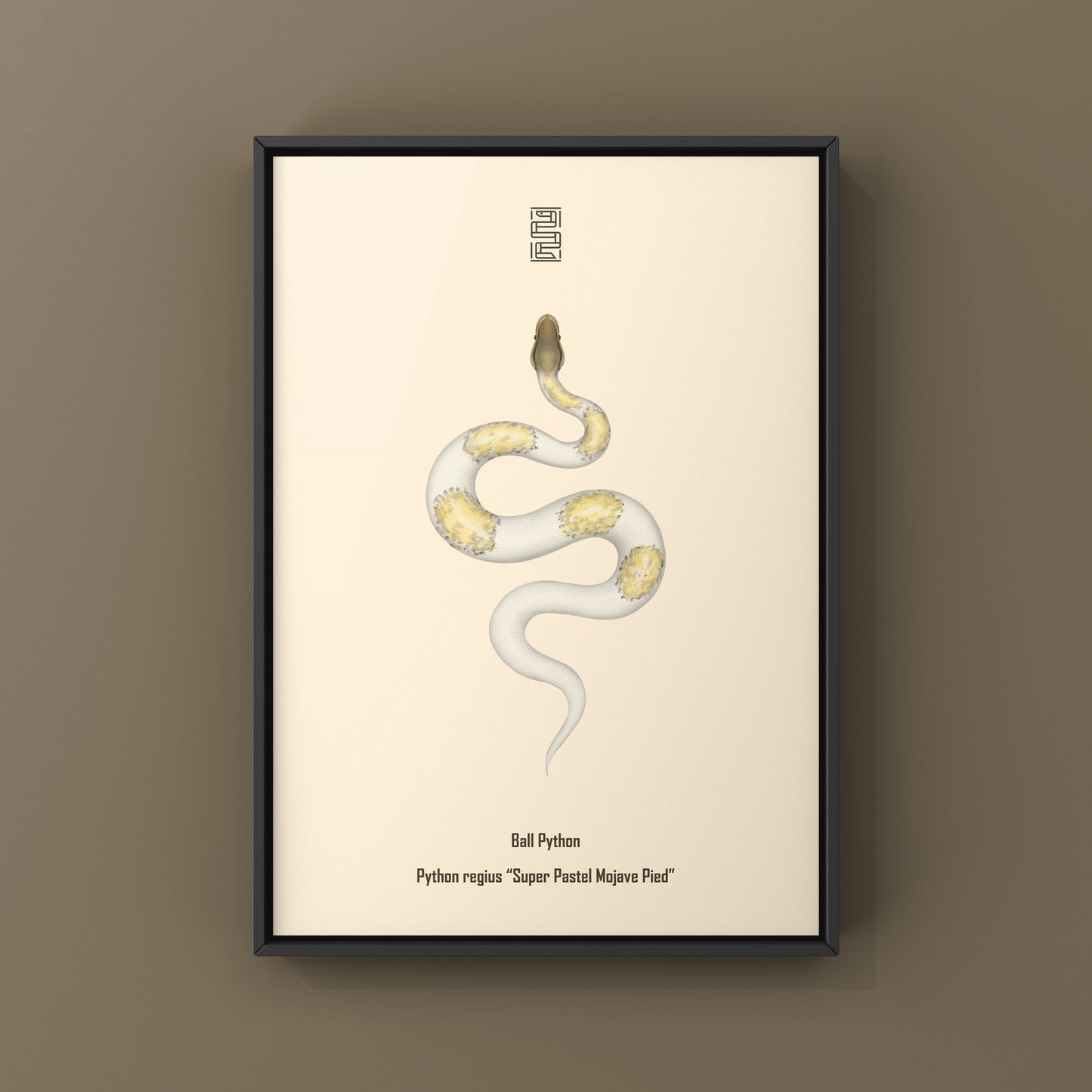 Super Pastel Mojave Pied Ball Python art print showing a colorful Python regius with vibrant pastel and pied patterns.