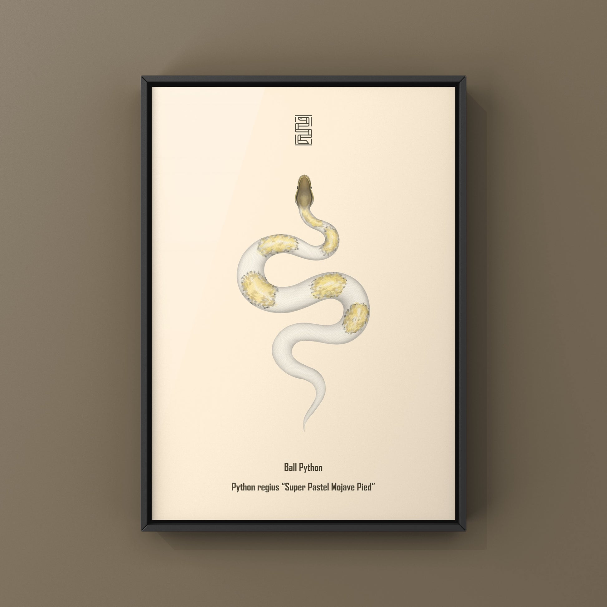 Super Pastel Mojave Pied Ball Python art print showing a colorful Python regius with vibrant pastel and pied patterns.