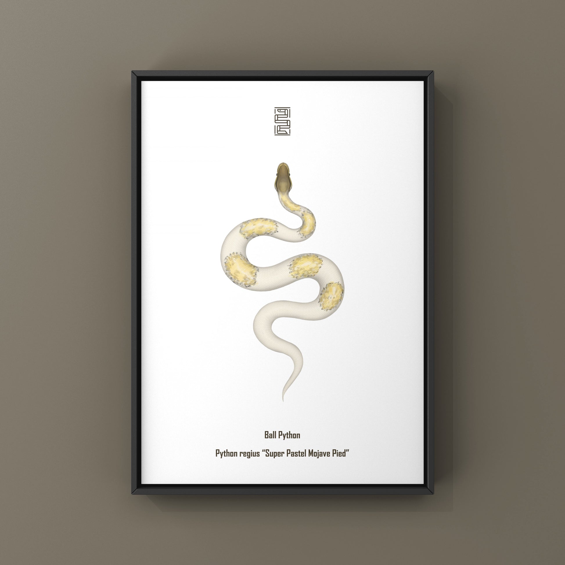 Super Pastel Mojave Pied Ball Python art print by The Silk Ranch featuring detailed illustration of the snake.