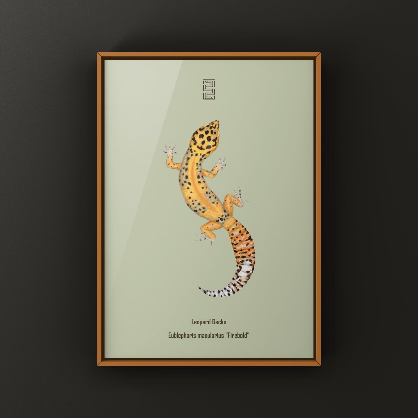 Firebold Leopard Gecko art print by The Silk Ranch, featuring vibrant leopard gecko illustration on high-quality paper.