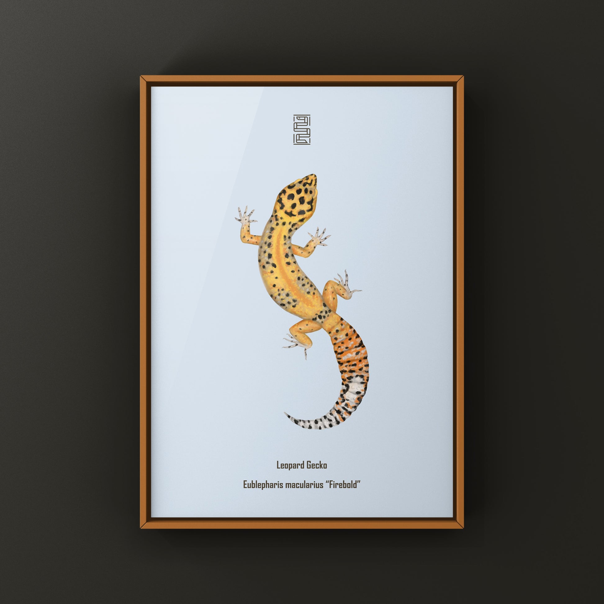 Firebold Leopard Gecko art print by The Silk Ranch featuring vibrant leopard gecko illustrations on high-quality paper.