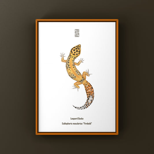 Firebold Leopard Gecko Art Print from The Silk Ranch