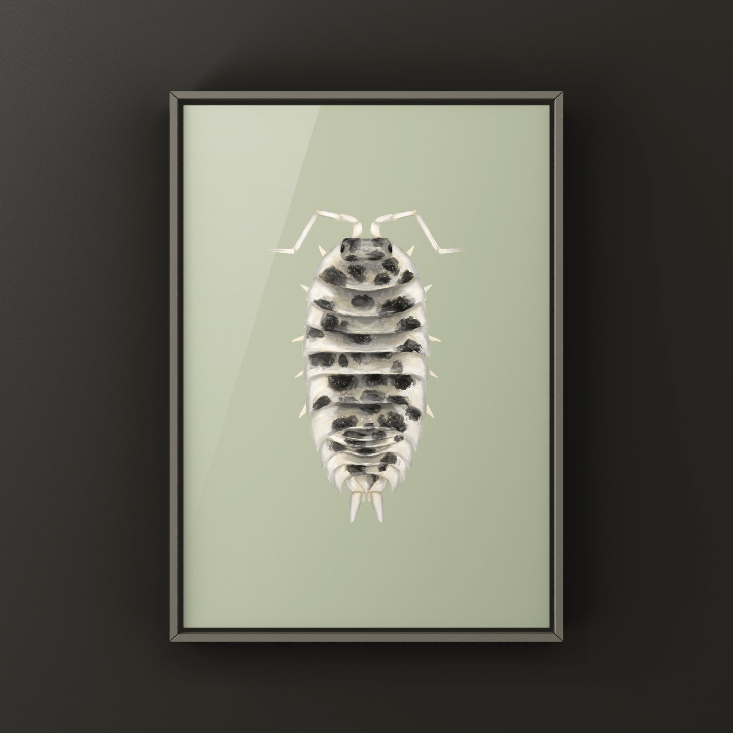 Dairy Cow Isopod art print featuring a detailed illustration of Porcellio laevis “Dairy Cow” by The Silk Ranch.