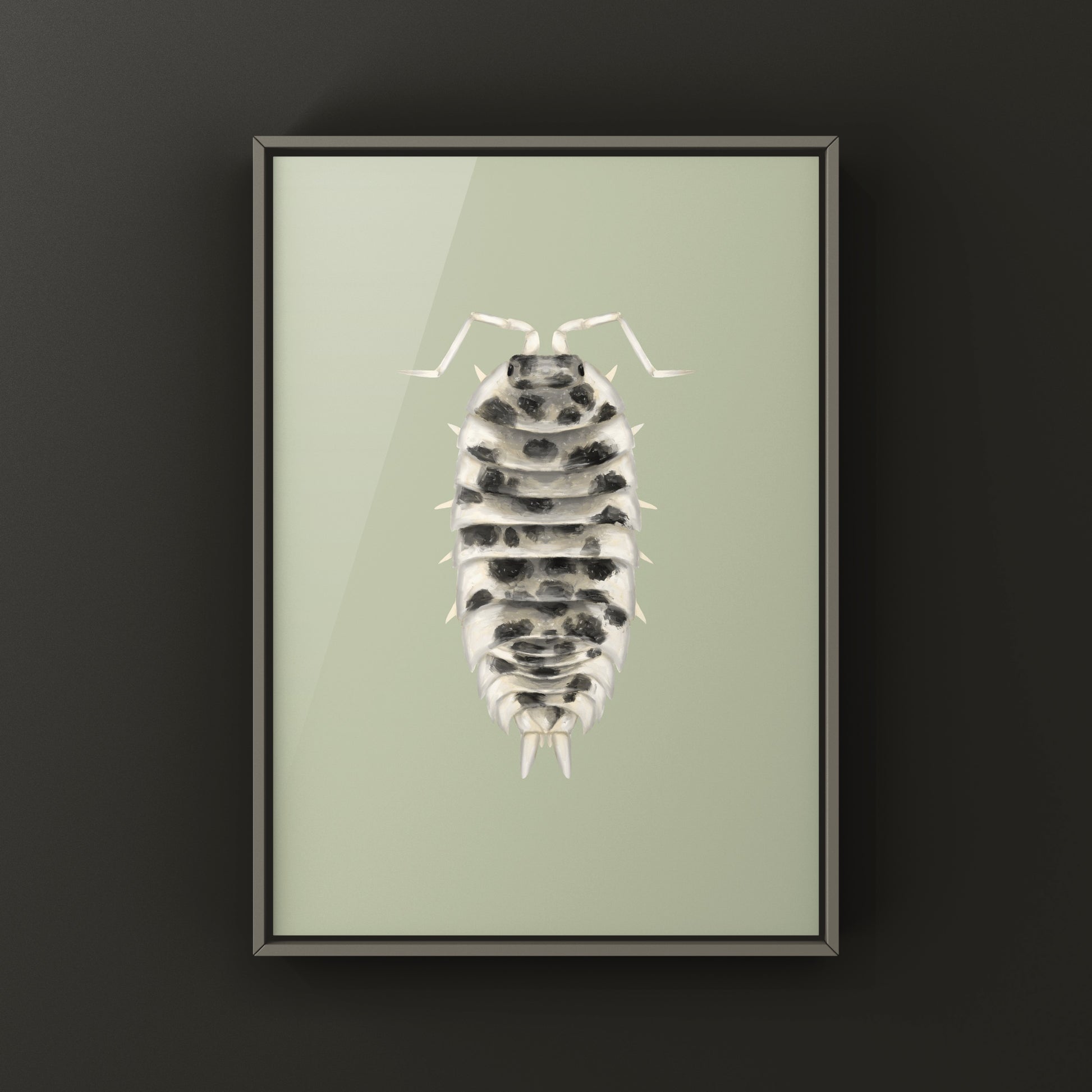 Dairy Cow Isopod art print featuring a detailed illustration of Porcellio laevis “Dairy Cow” by The Silk Ranch.
