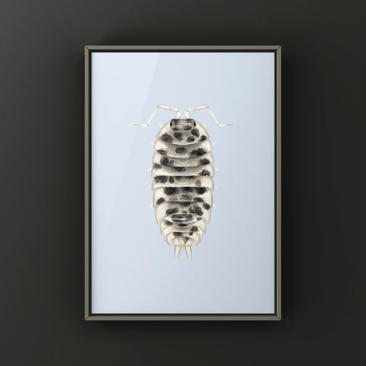 Dairy Cow Isopod art print featuring Porcellio laevis “Dairy Cow” on white background, created by The Silk Ranch.