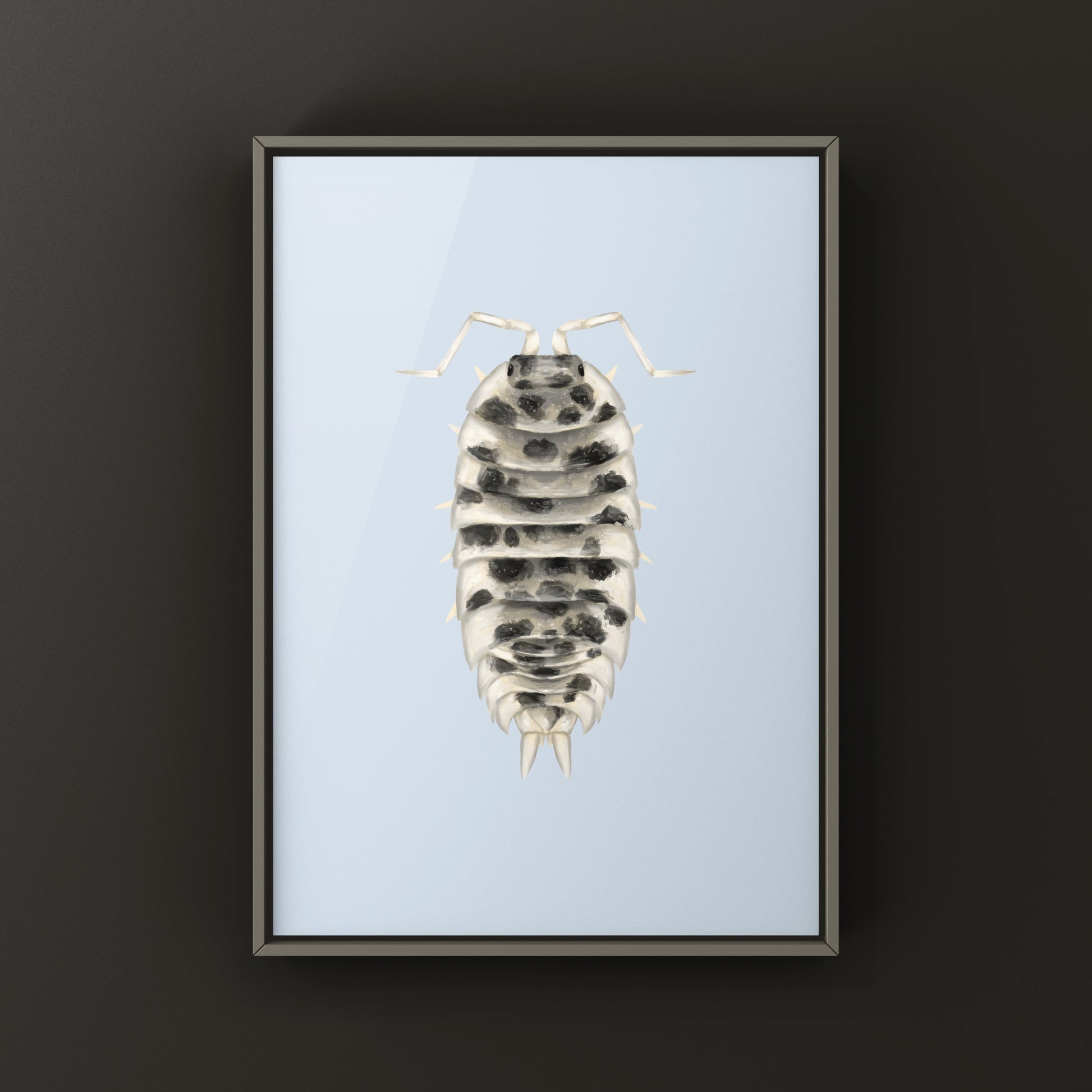 Dairy Cow Isopod art print featuring Porcellio laevis “Dairy Cow” on white background, created by The Silk Ranch.