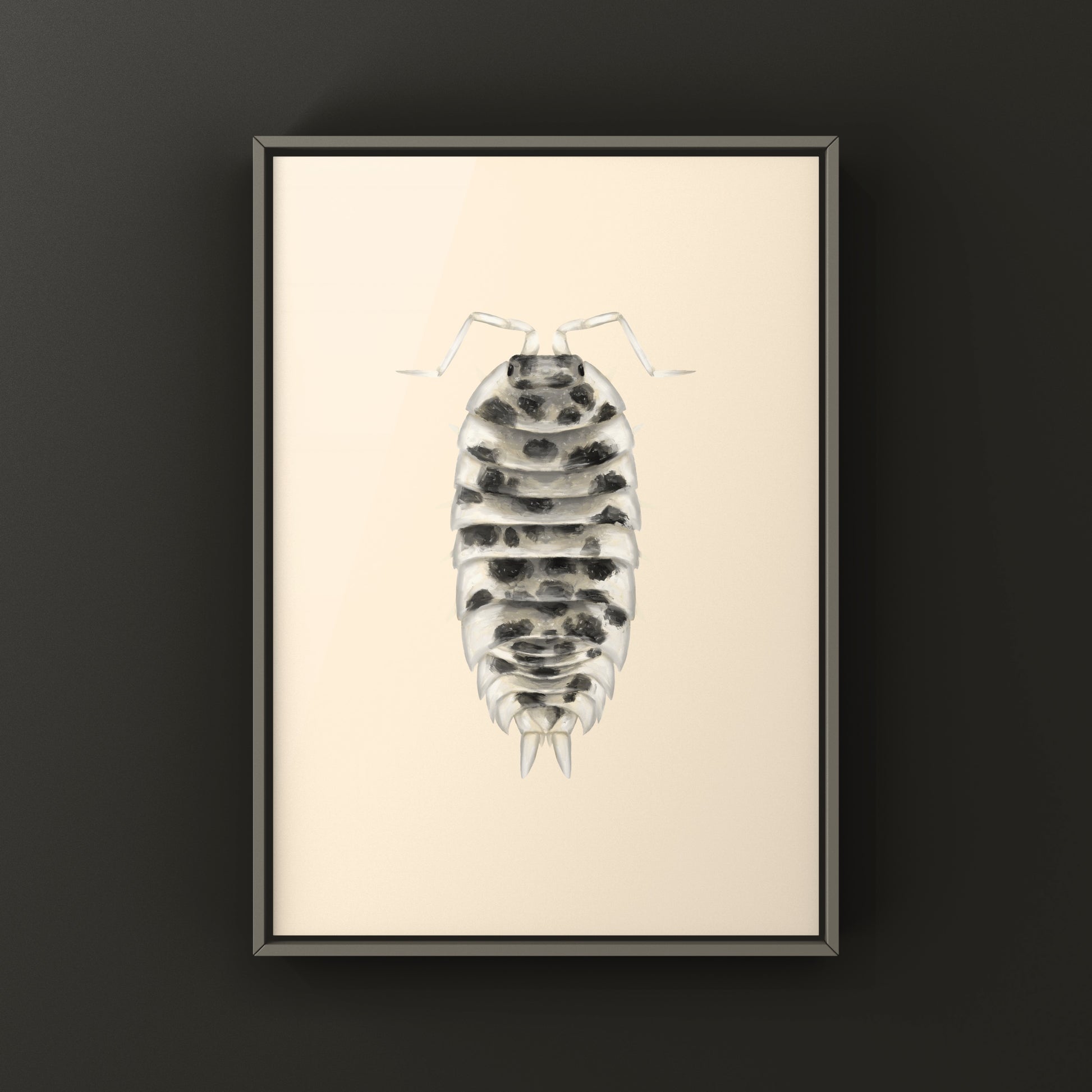 Dairy Cow Isopod art print showcasing detailed illustration of Porcellio laevis “Dairy Cow” from The Silk Ranch.