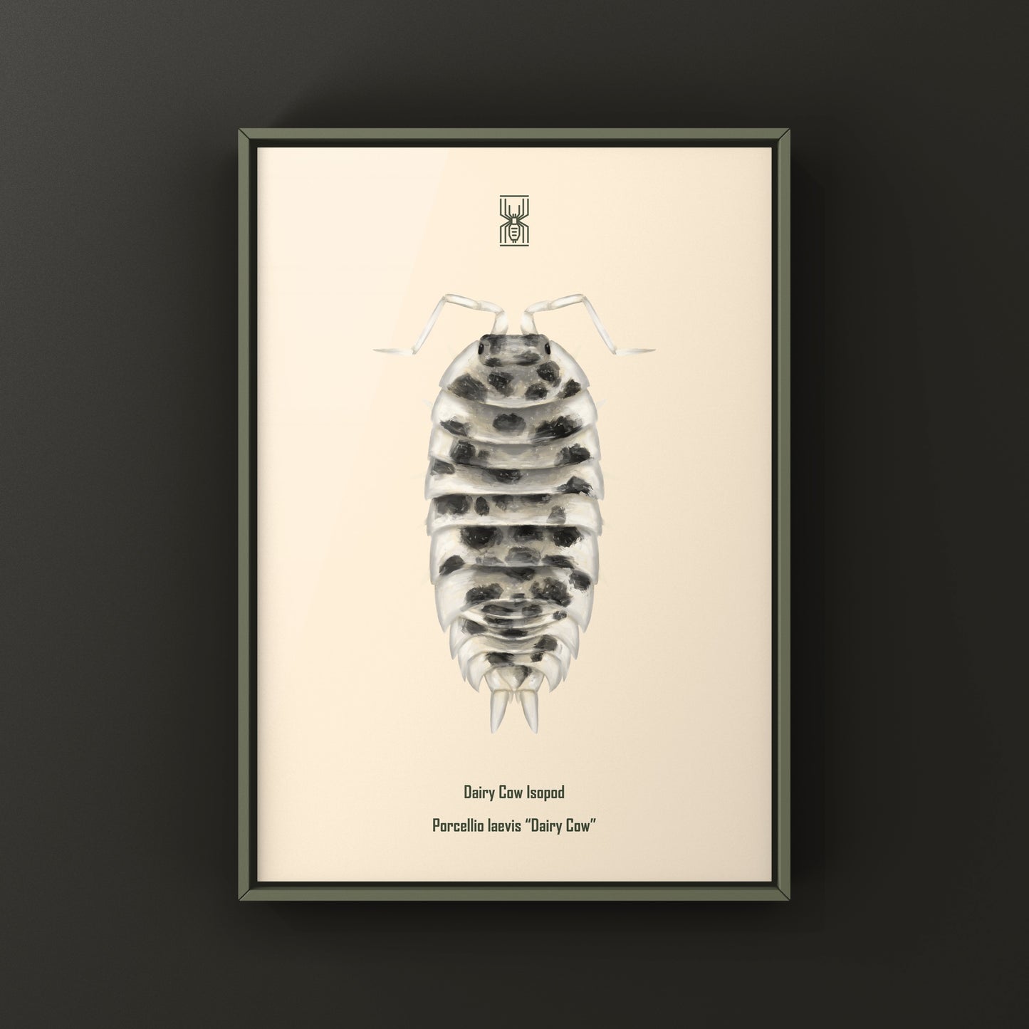 Dairy Cow Isopod Porcellio laevis art print showcasing detailed illustrations of the dairy cow isopod species.