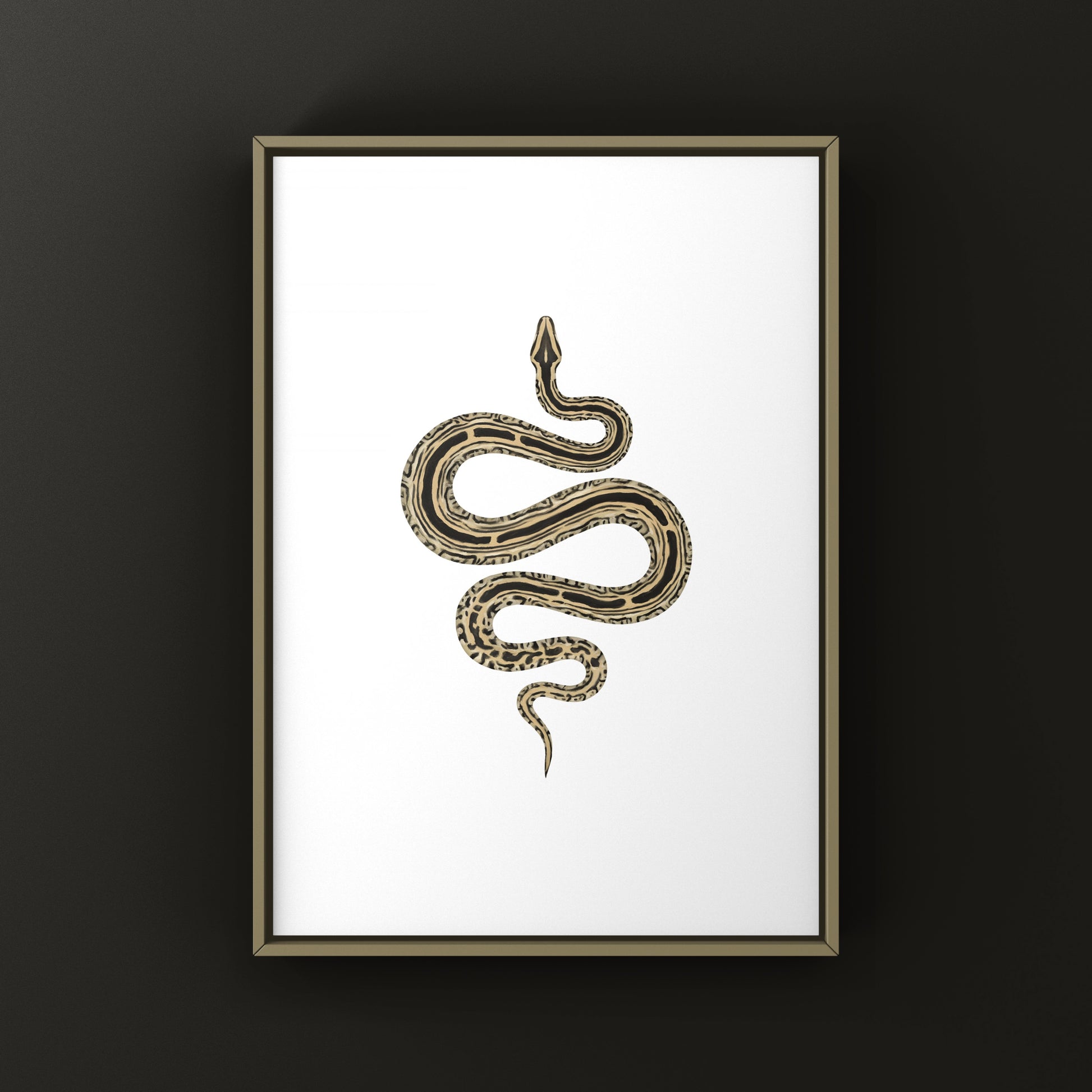 Burmese Python art print featuring a detailed illustration of a Python bivittatus, displayed on a white background.