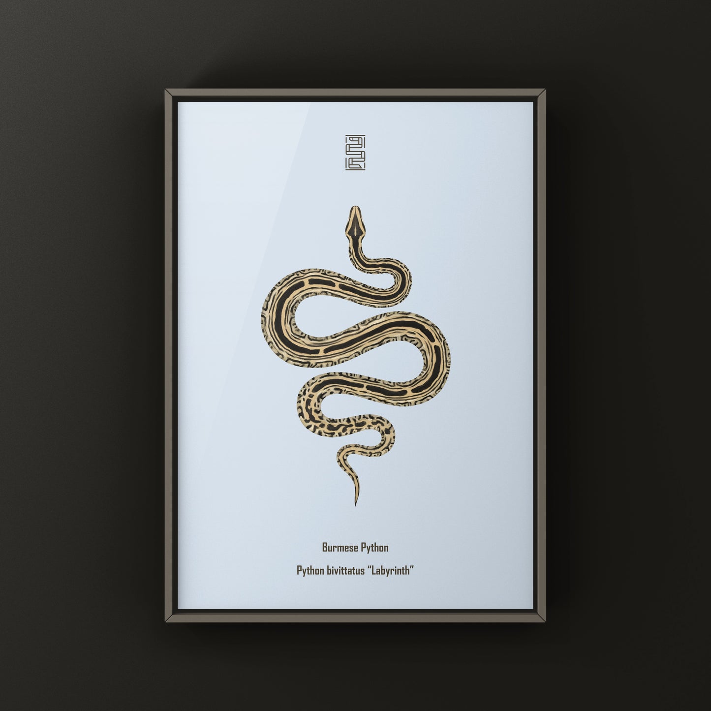 Colorful art print of a Burmese Python (Python bivittatus) by The Silk Ranch, showcasing intricate snake scales and natural patterns.