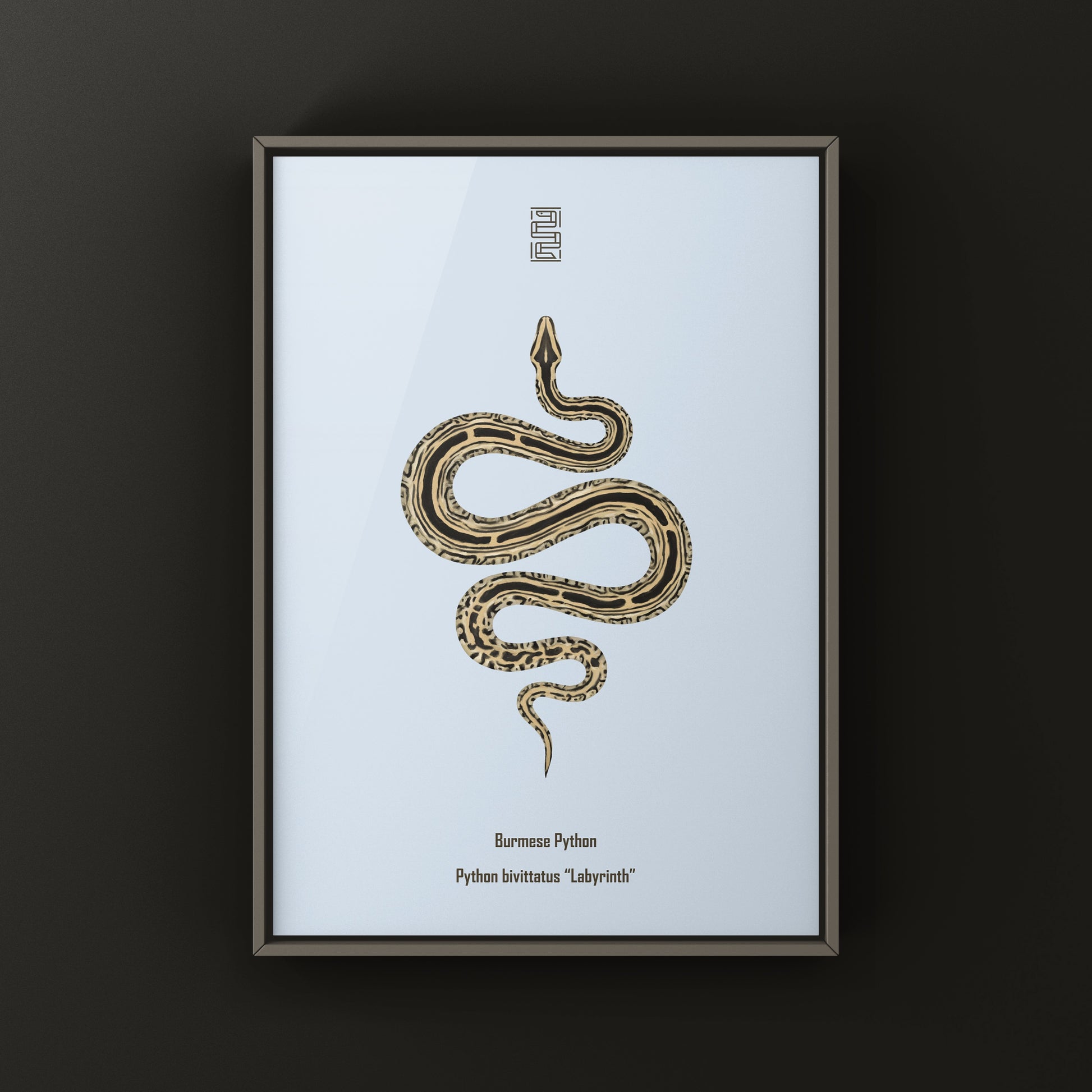 Colorful art print of a Burmese Python (Python bivittatus) by The Silk Ranch, showcasing intricate snake scales and natural patterns.