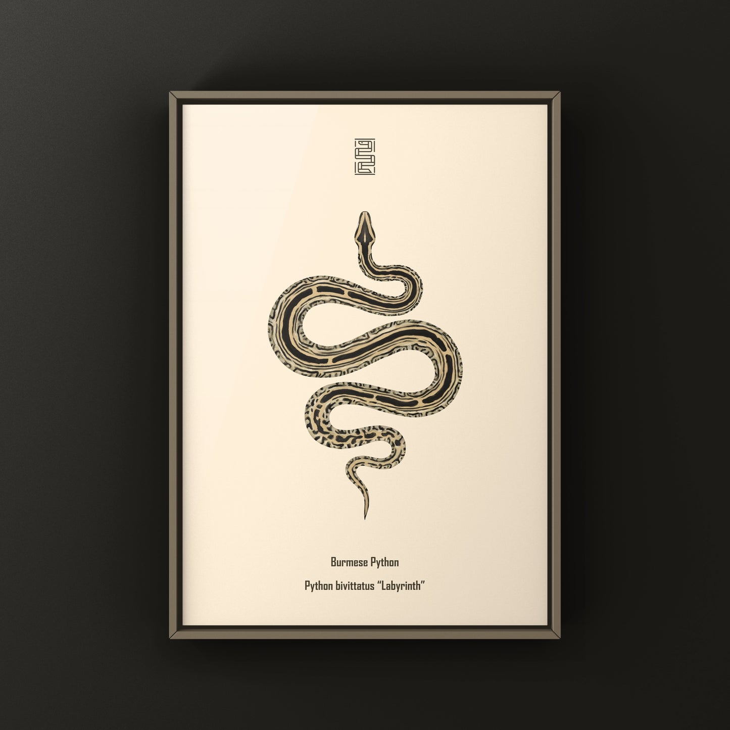 Burmese Python art print featuring a detailed illustration of a Python bivittatus, created by The Silk Ranch.