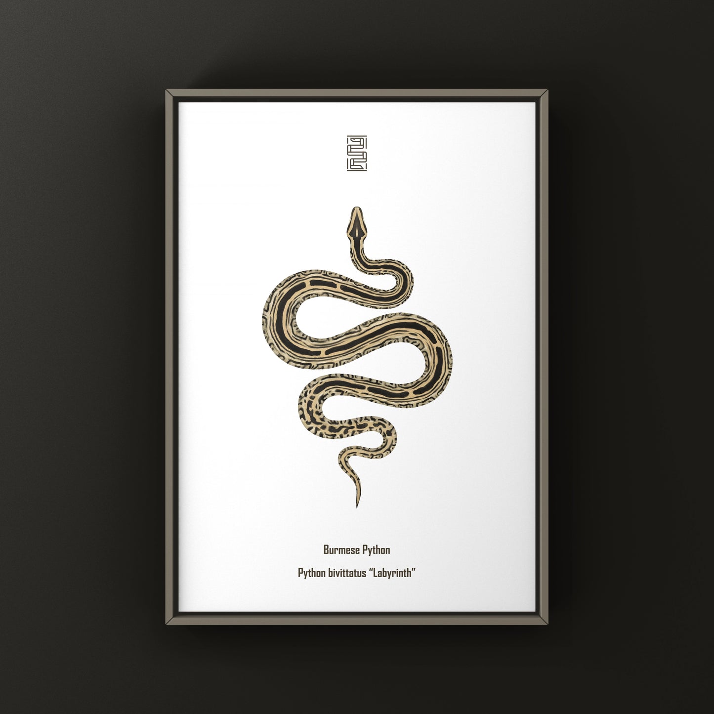 Burmese Python art print featuring a detailed illustration of a Python bivittatus, displayed on textured paper.