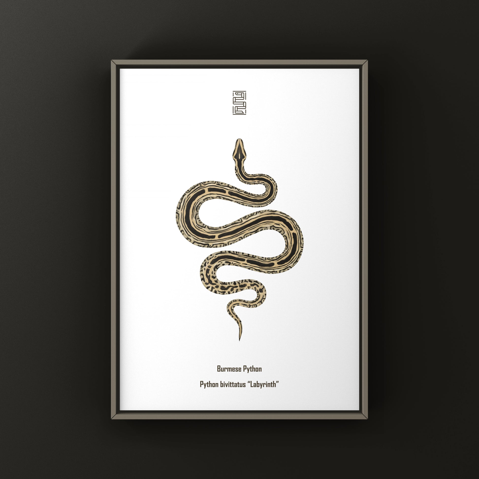 Burmese Python art print featuring a detailed illustration of a Python bivittatus, displayed on textured paper.