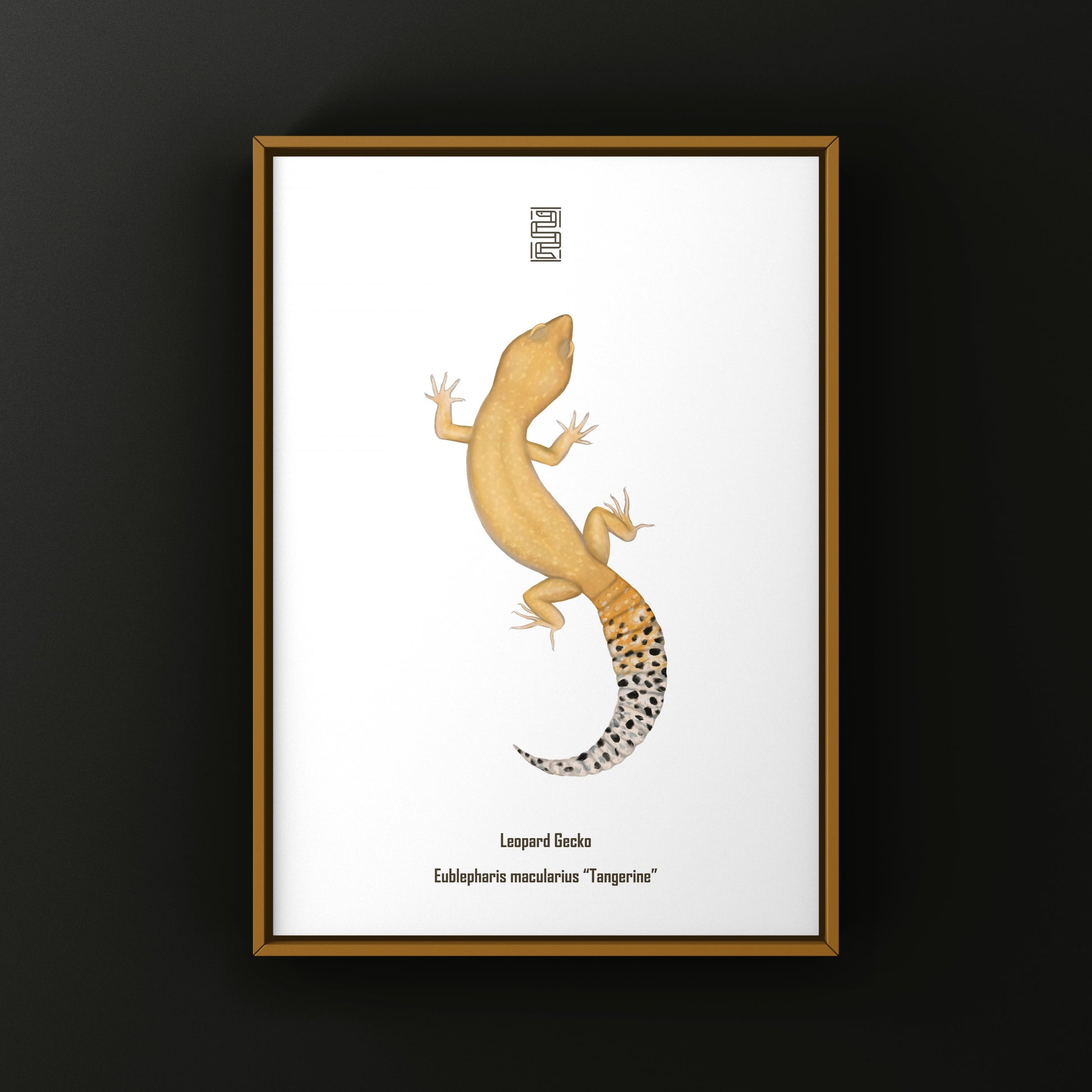 Tangerine Leopard Gecko Art Print from The Silk Ranch