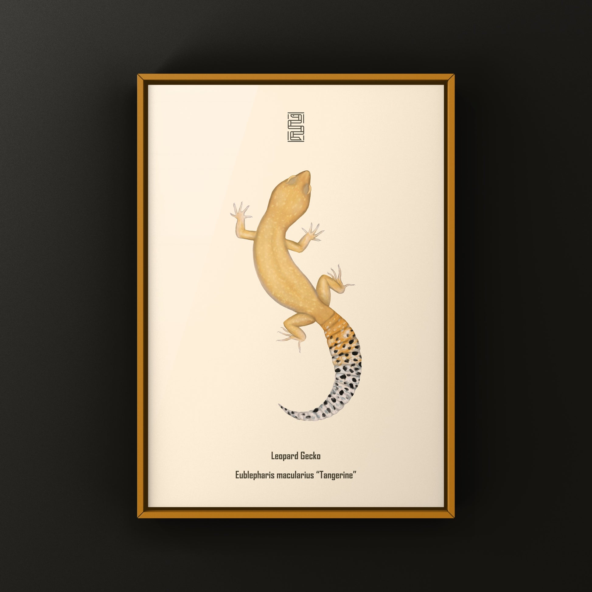 Tangerine Leopard Gecko Art Print from The Silk Ranch