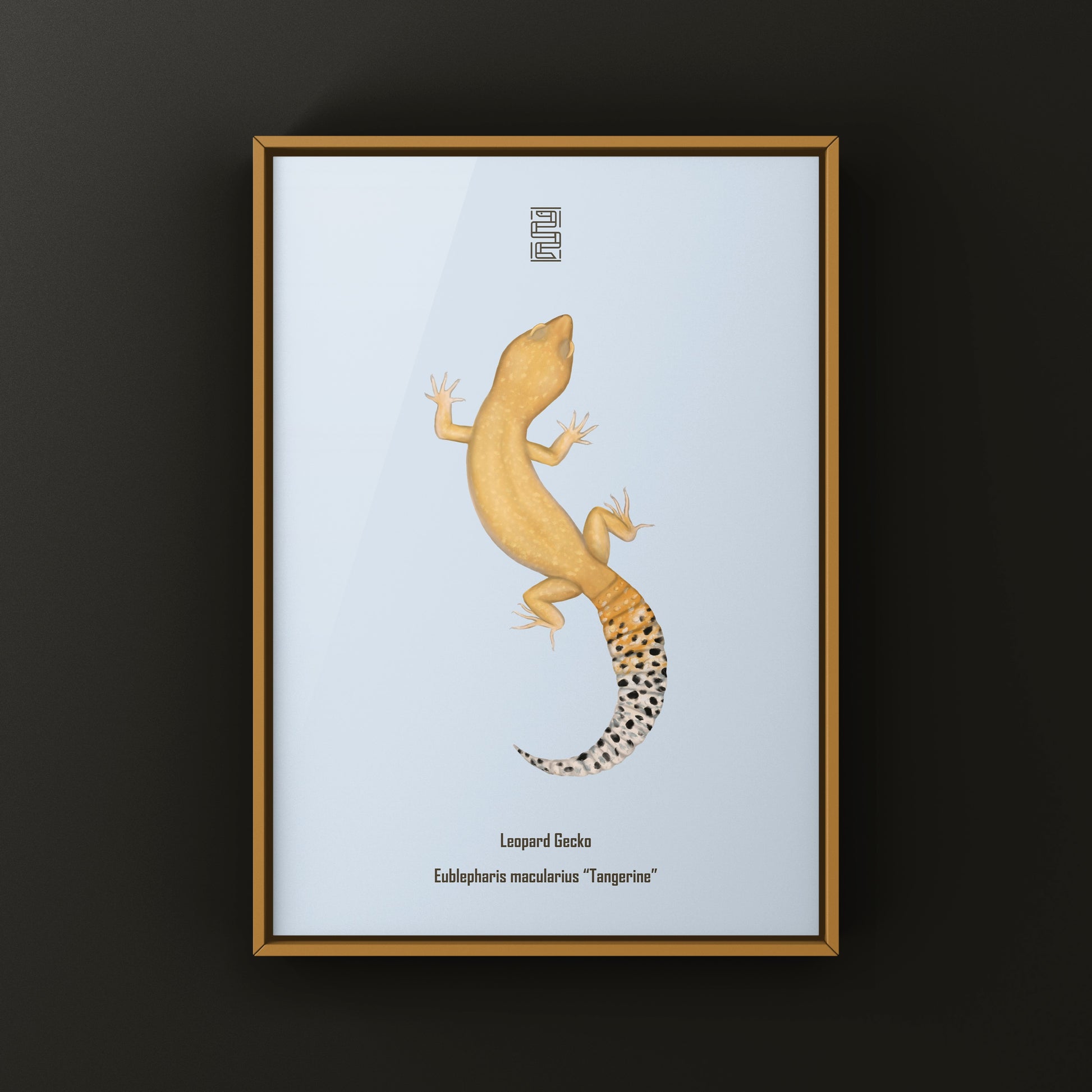 Tangerine Leopard Gecko Art Print from The Silk Ranch