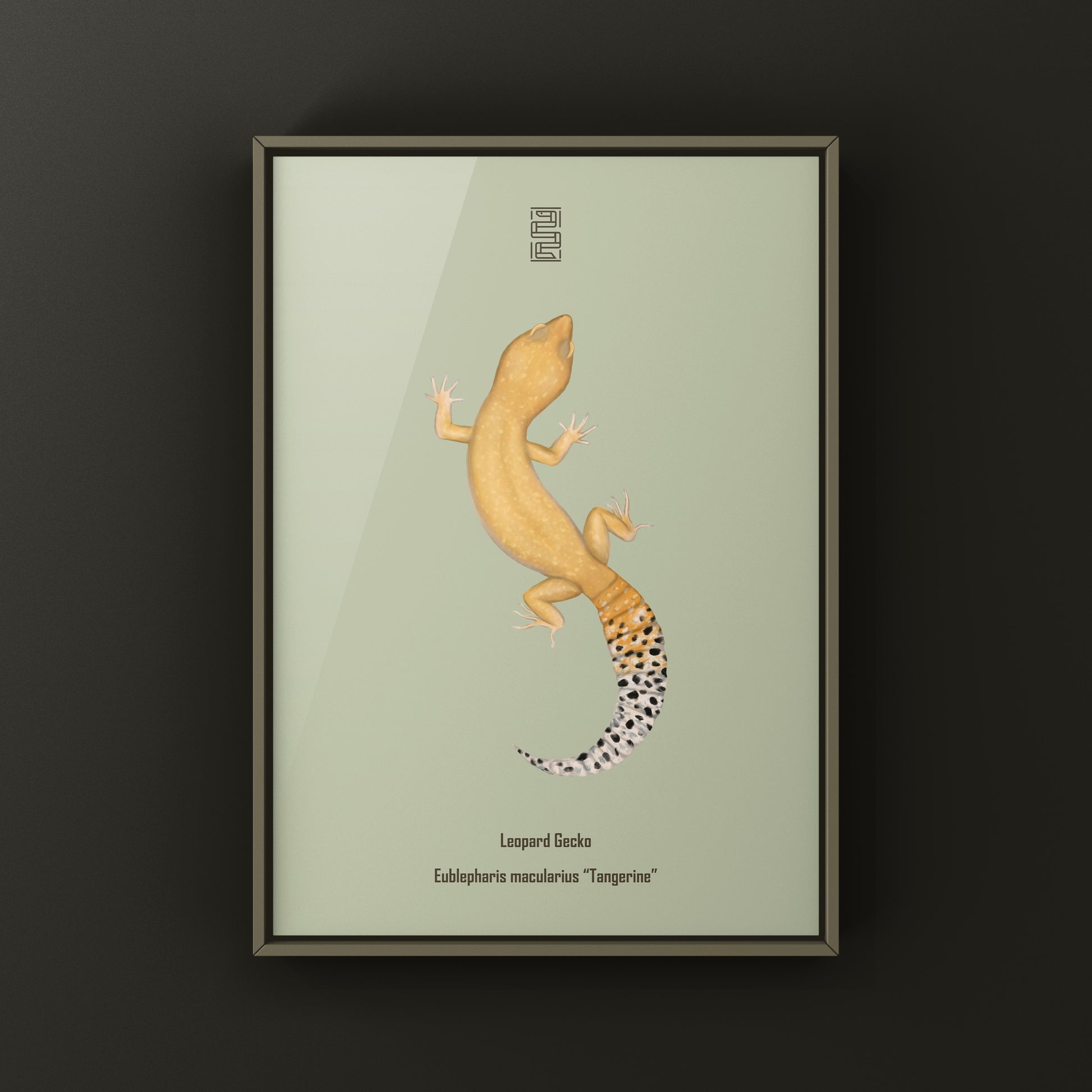 Tangerine Leopard Gecko Art Print from The Silk Ranch