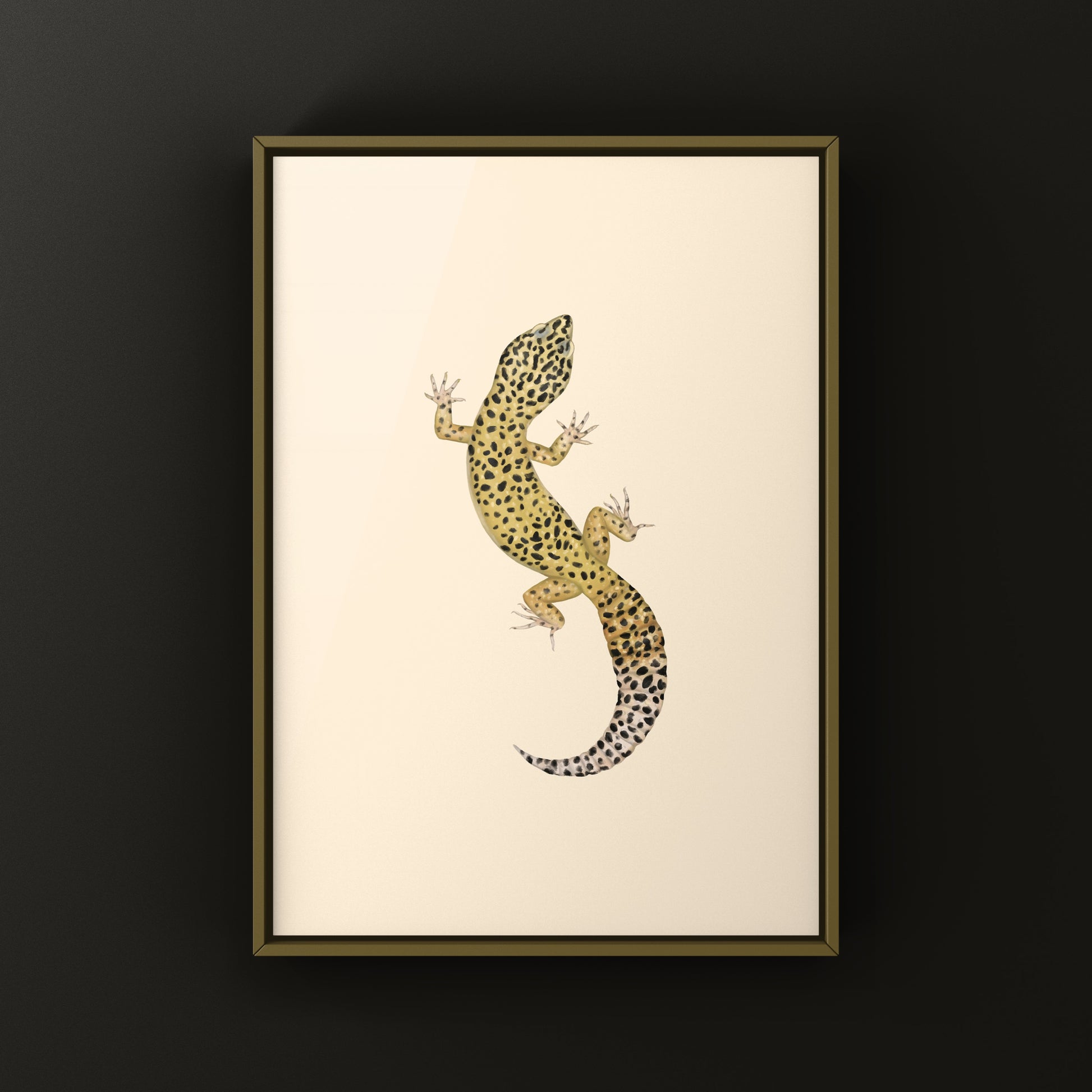 Leopard Gecko art print by The Silk Ranch showing detailed illustration of Eublepharis macularius on white background.