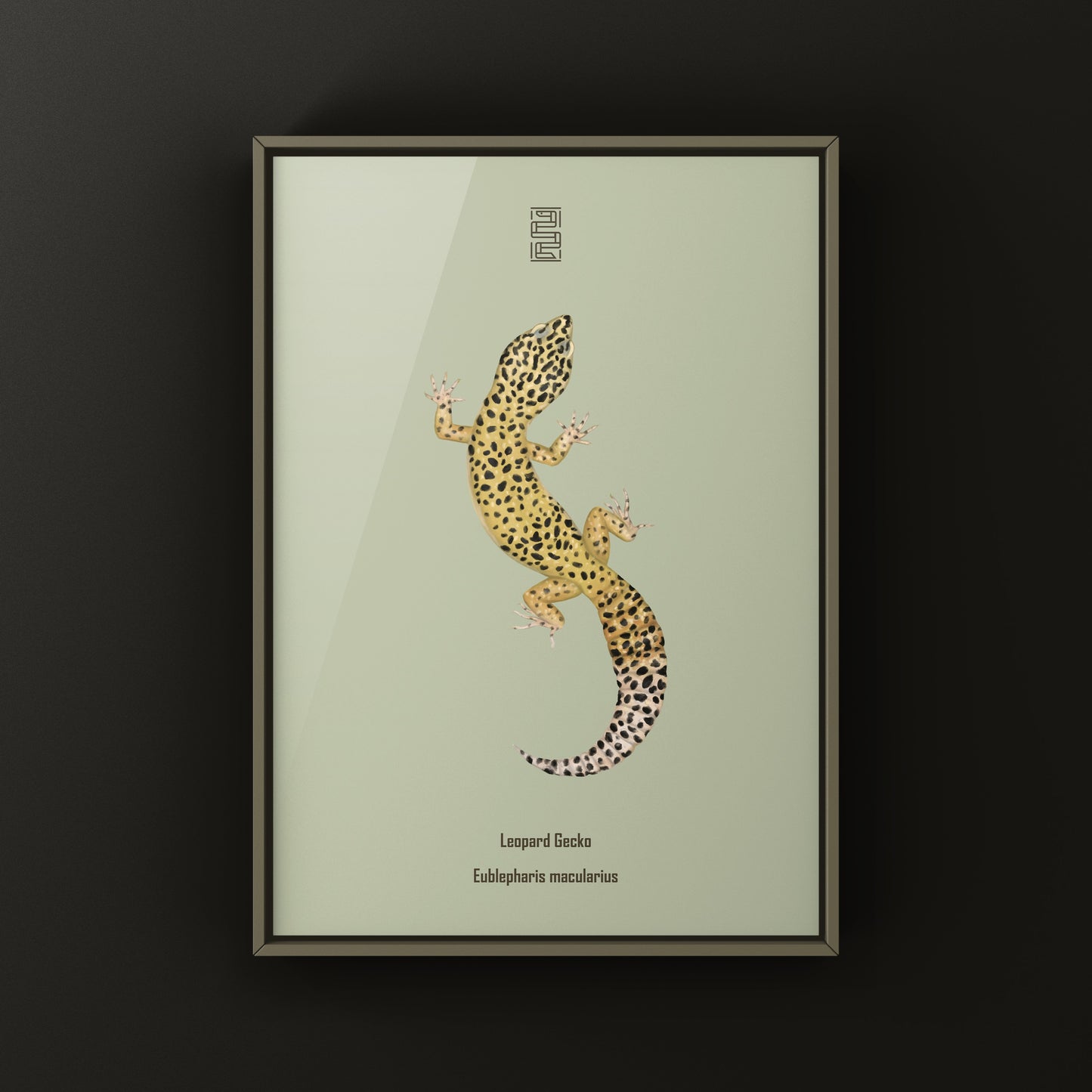 Leopard Gecko art print by The Silk Ranch, featuring detailed illustrations of Eublepharis macularius on textured paper.