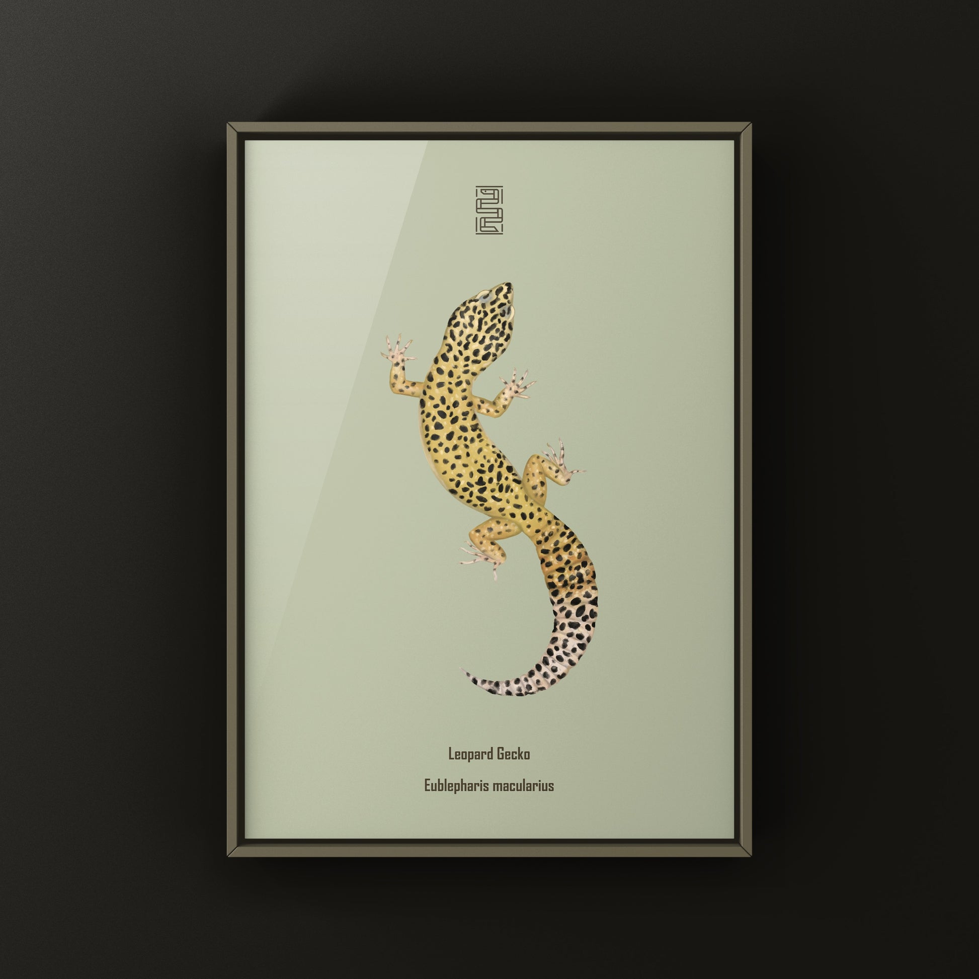 Leopard Gecko art print by The Silk Ranch, featuring detailed illustrations of Eublepharis macularius on textured paper.