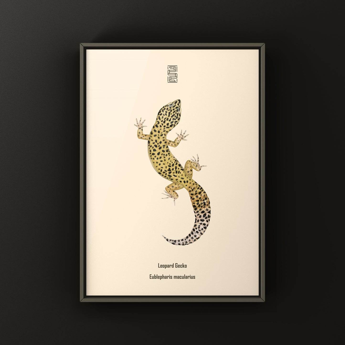 Leopard Gecko art print featuring realistic illustrations of Eublepharis macularius on high-quality paper.