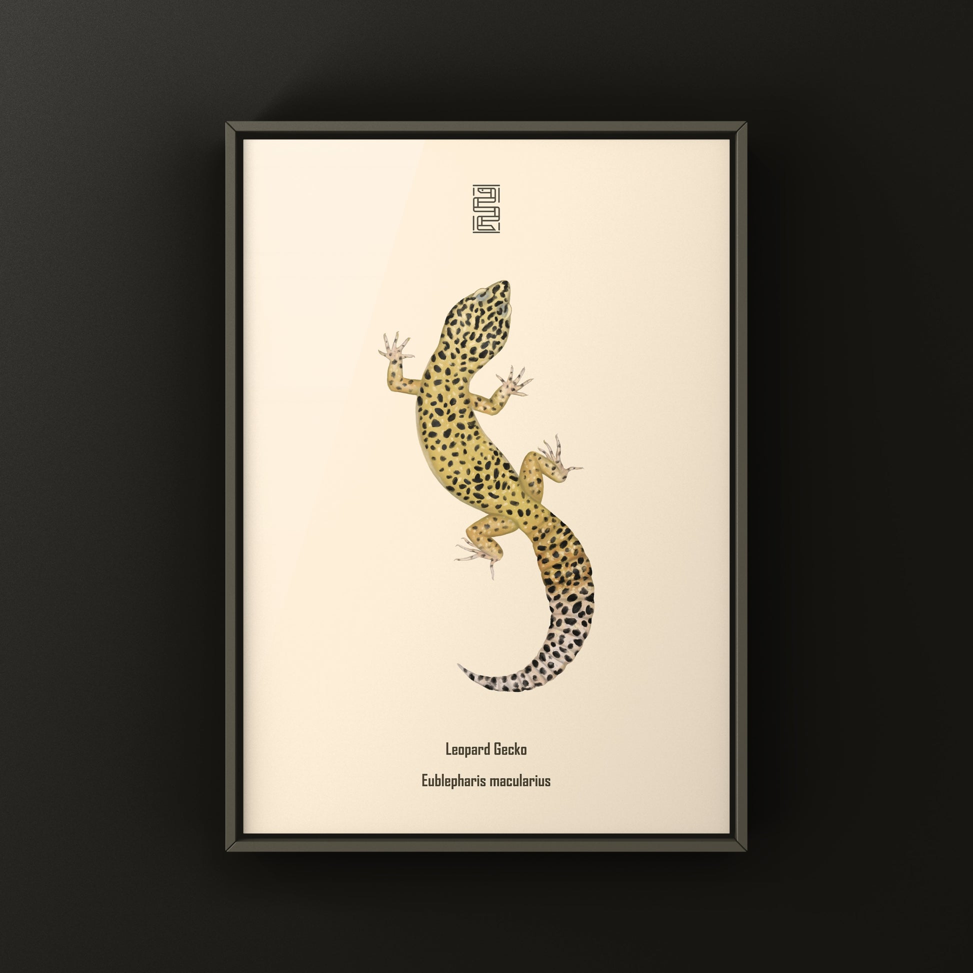Leopard Gecko art print featuring realistic illustrations of Eublepharis macularius on high-quality paper.