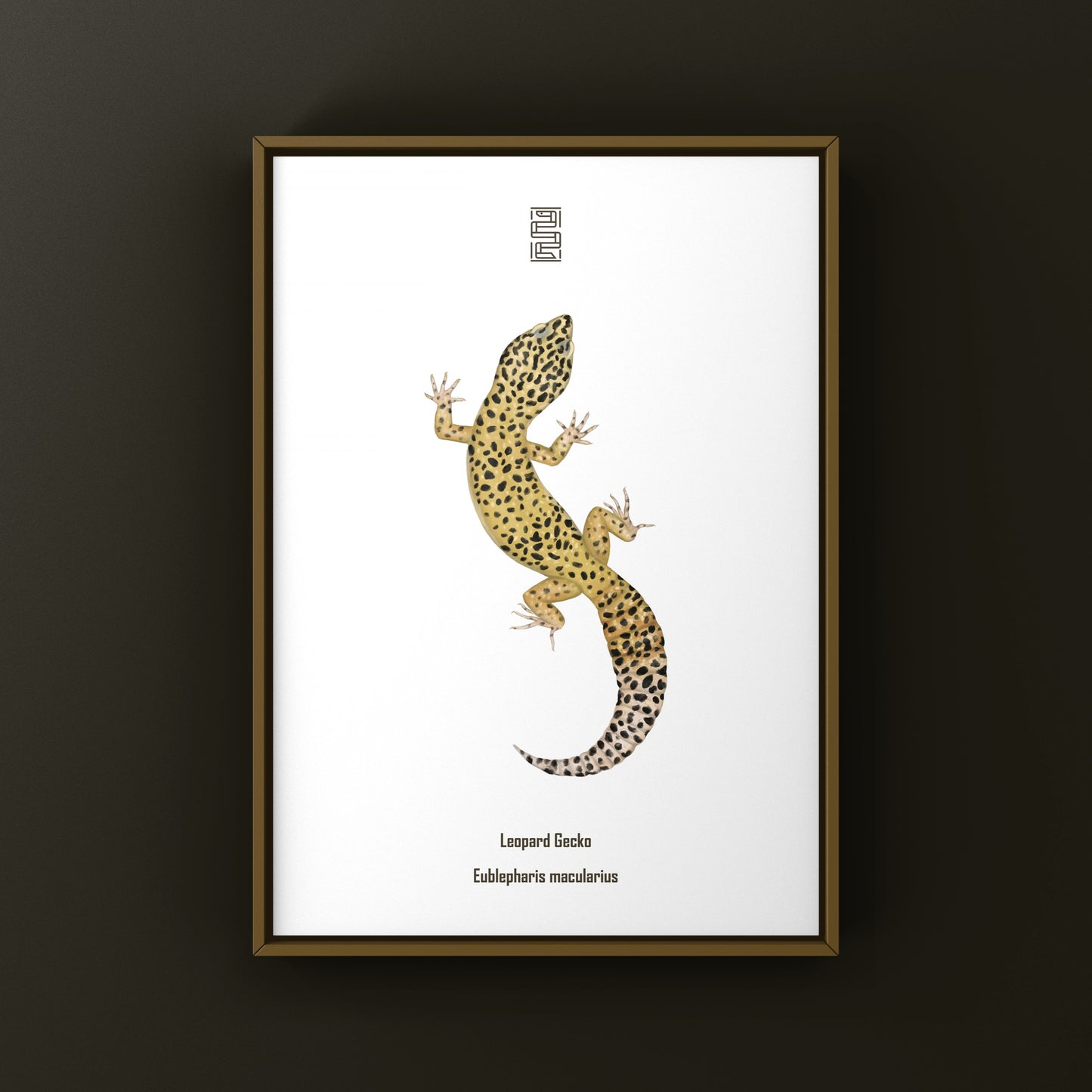 Leopard Gecko art print featuring Eublepharis macularius displayed on a white background, created by The Silk Ranch.