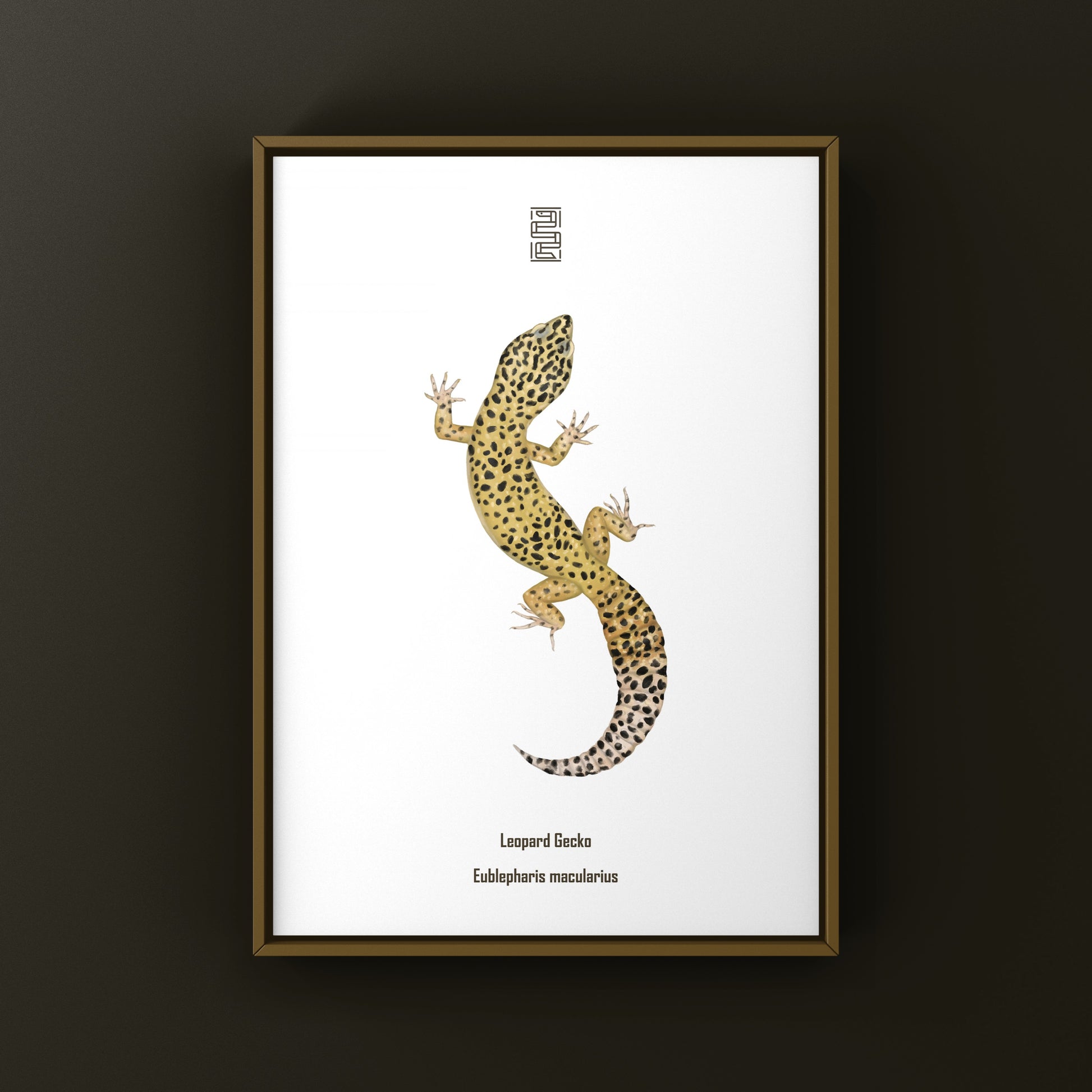 Leopard Gecko art print featuring Eublepharis macularius displayed on a white background, created by The Silk Ranch.