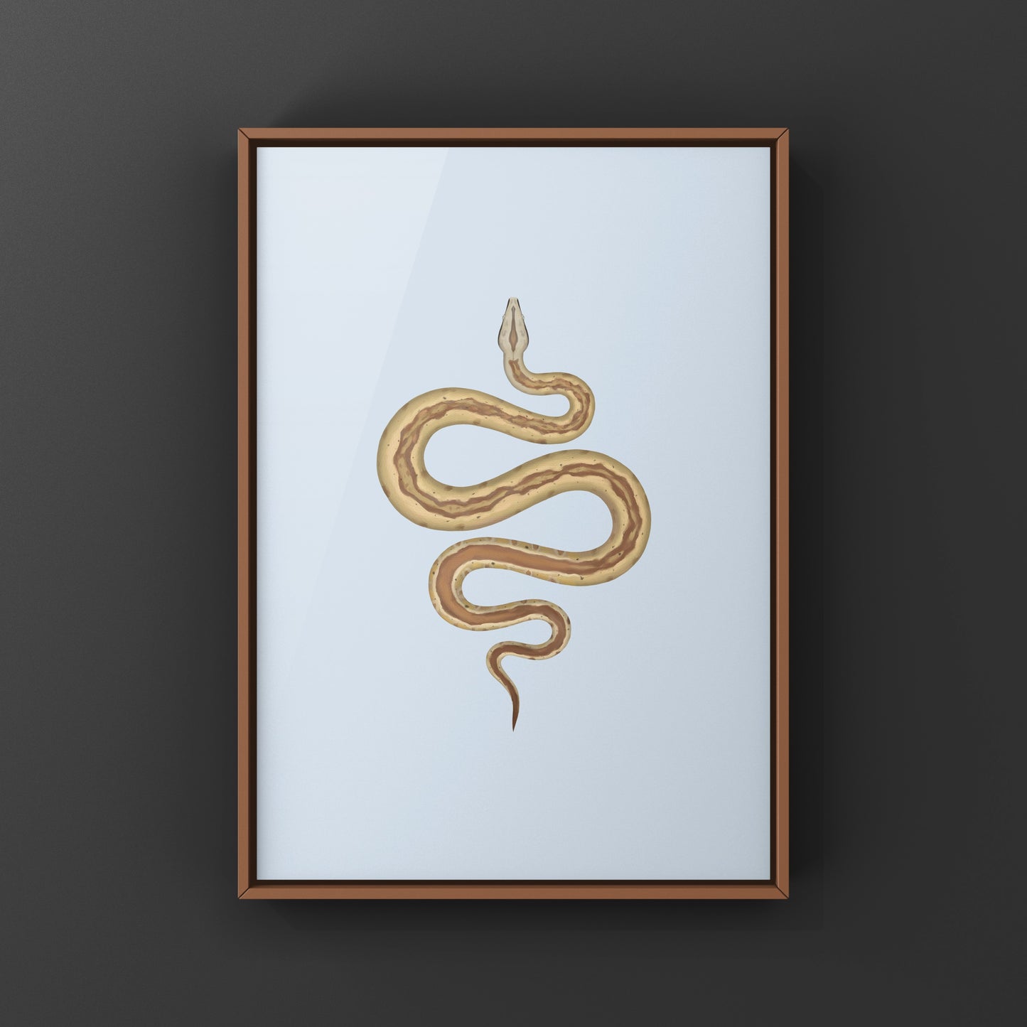 Hypo PK Stripe Colombian Red Tail Boa art print featuring detailed illustration of the Boa imperator species.