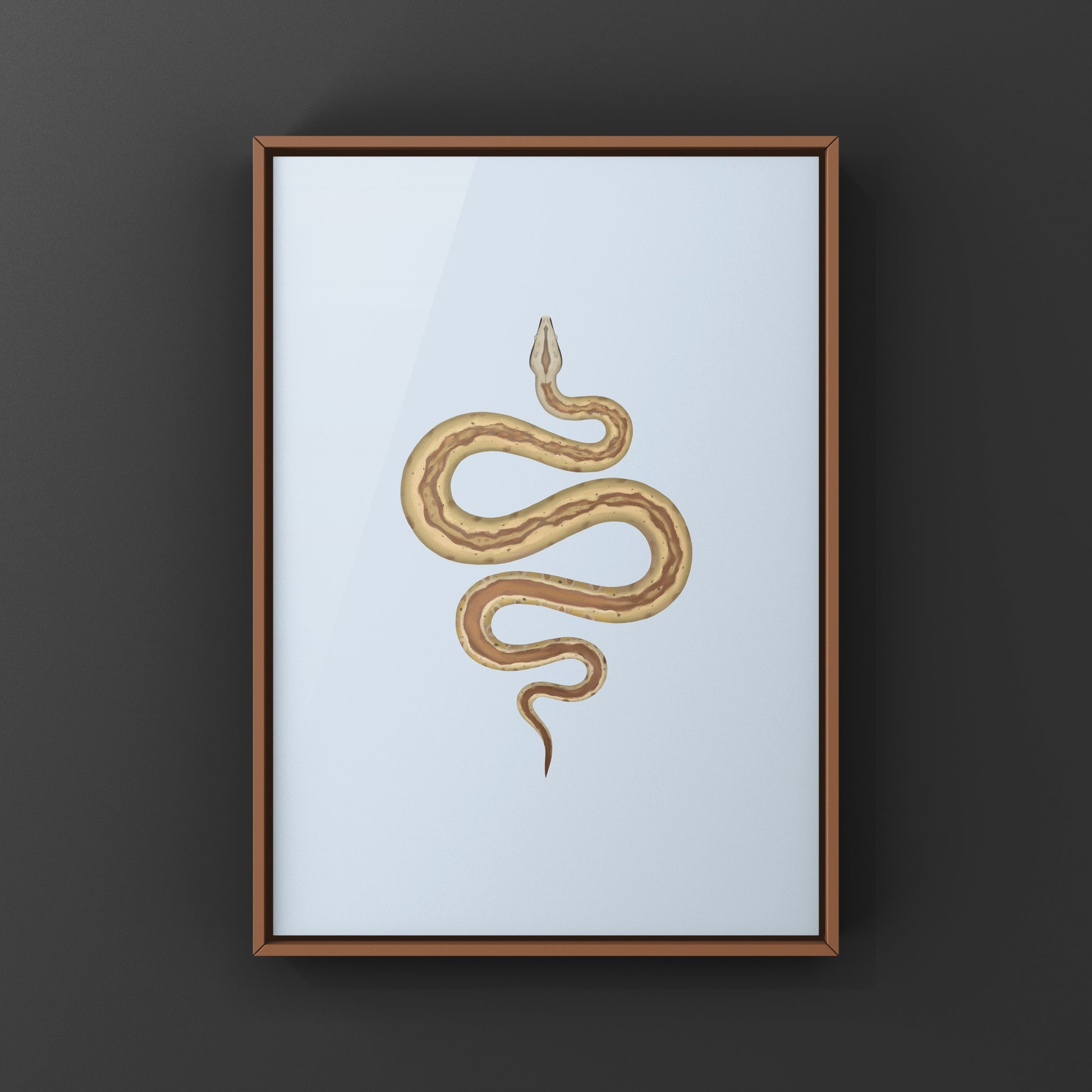 Hypo PK Stripe Colombian Red Tail Boa art print featuring detailed illustration of the Boa imperator species.