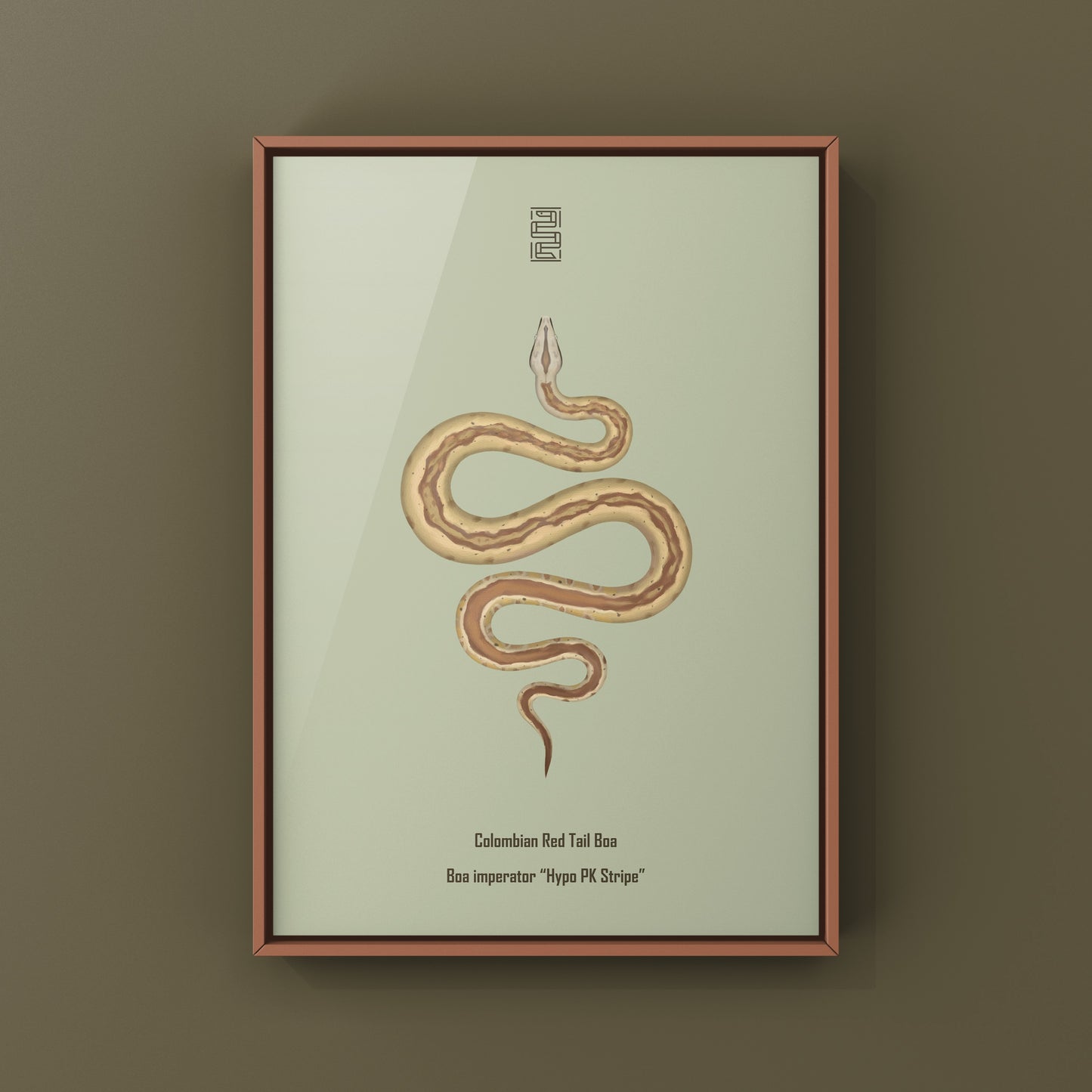 Colorful art print of a Hypo PK Stripe Colombian Red Tail Boa (Boa imperator) by The Silk Ranch, showcasing detailed snake illustration.
