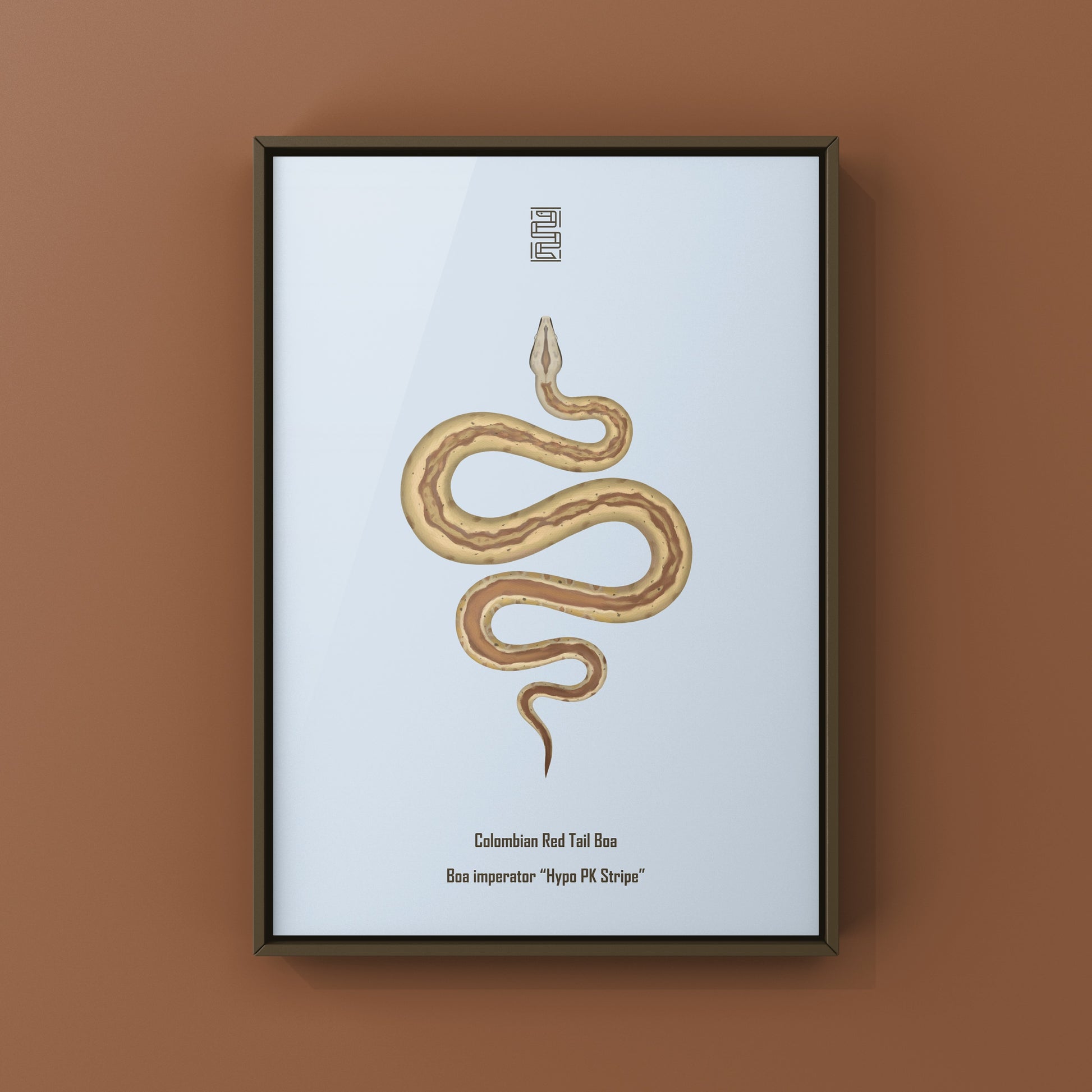 Colorful art print of a Colombian Red Tail Boa (Boa imperator) by The Silk Ranch featuring detailed snake illustrations.
